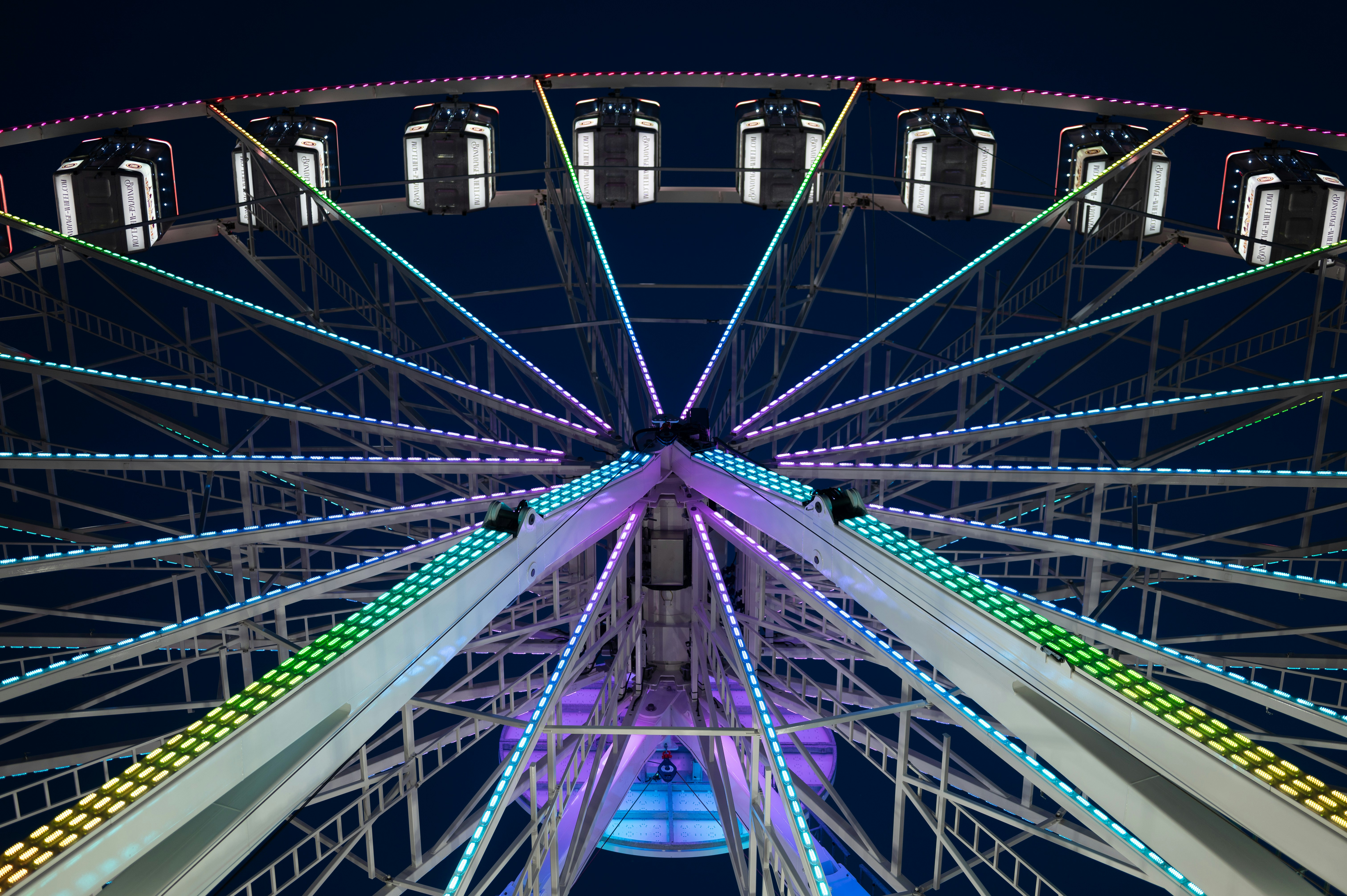 Photo by job_vermeulen