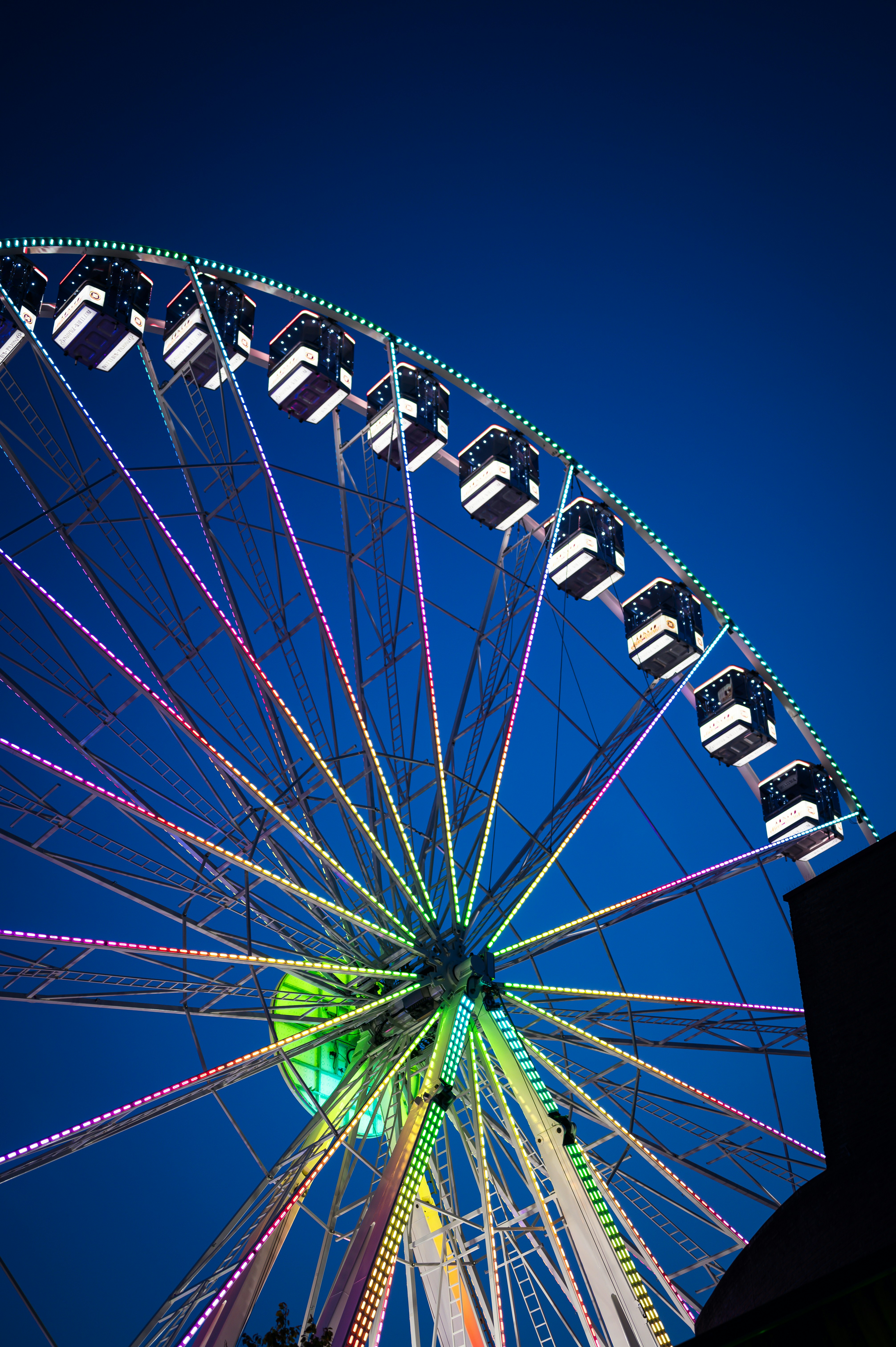 Photo by job_vermeulen