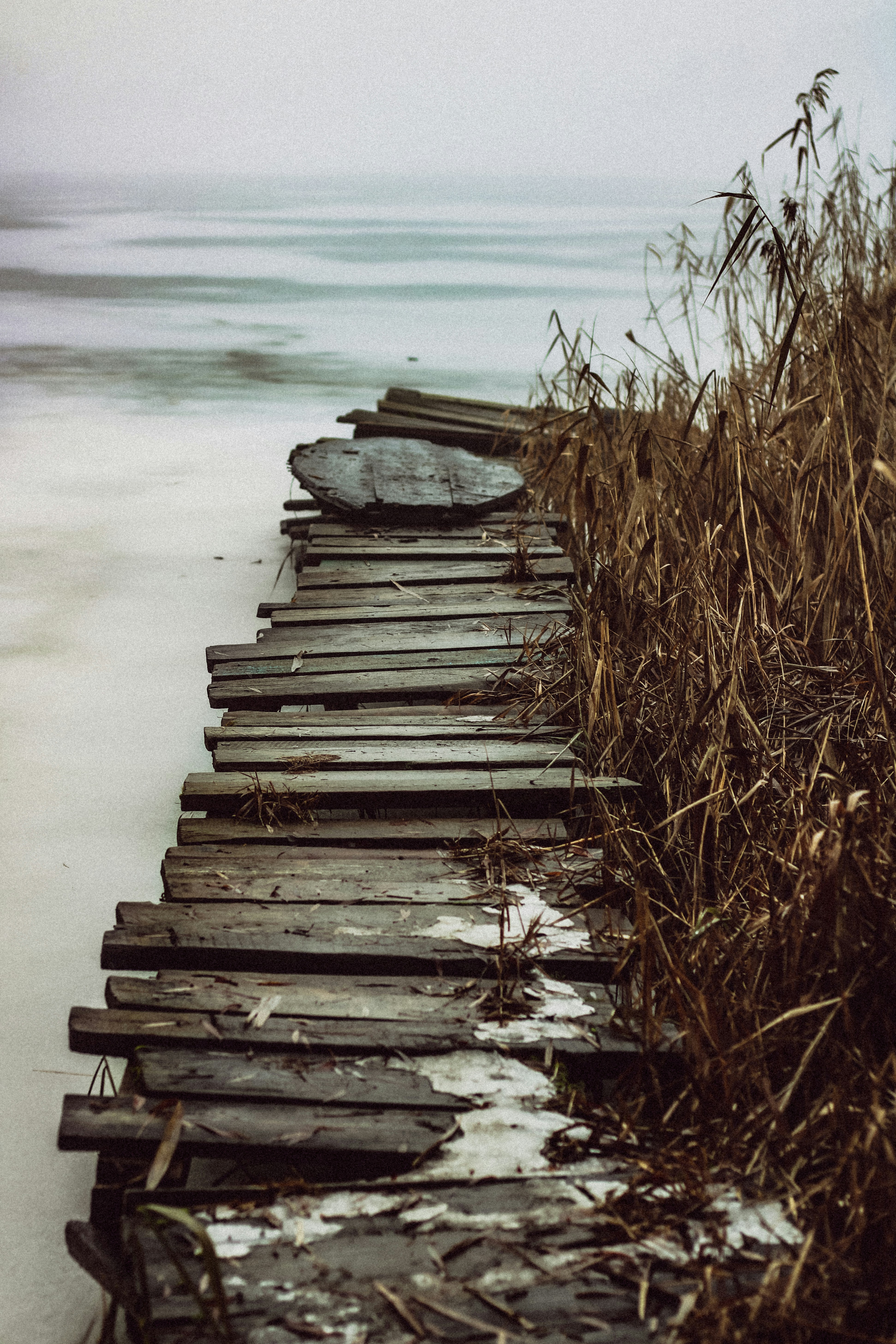 Photo by mineral_of_demon