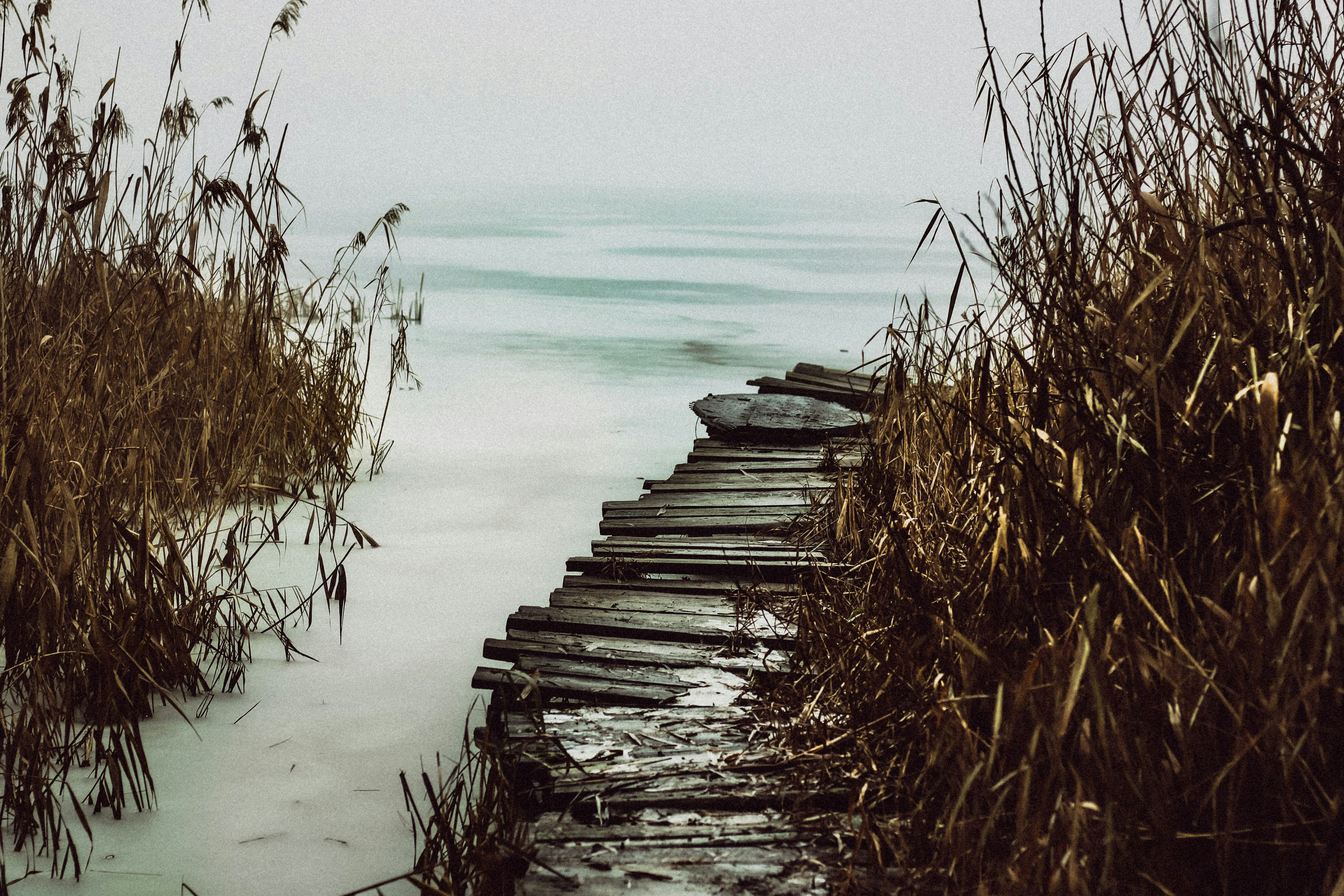 Photo by mineral_of_demon