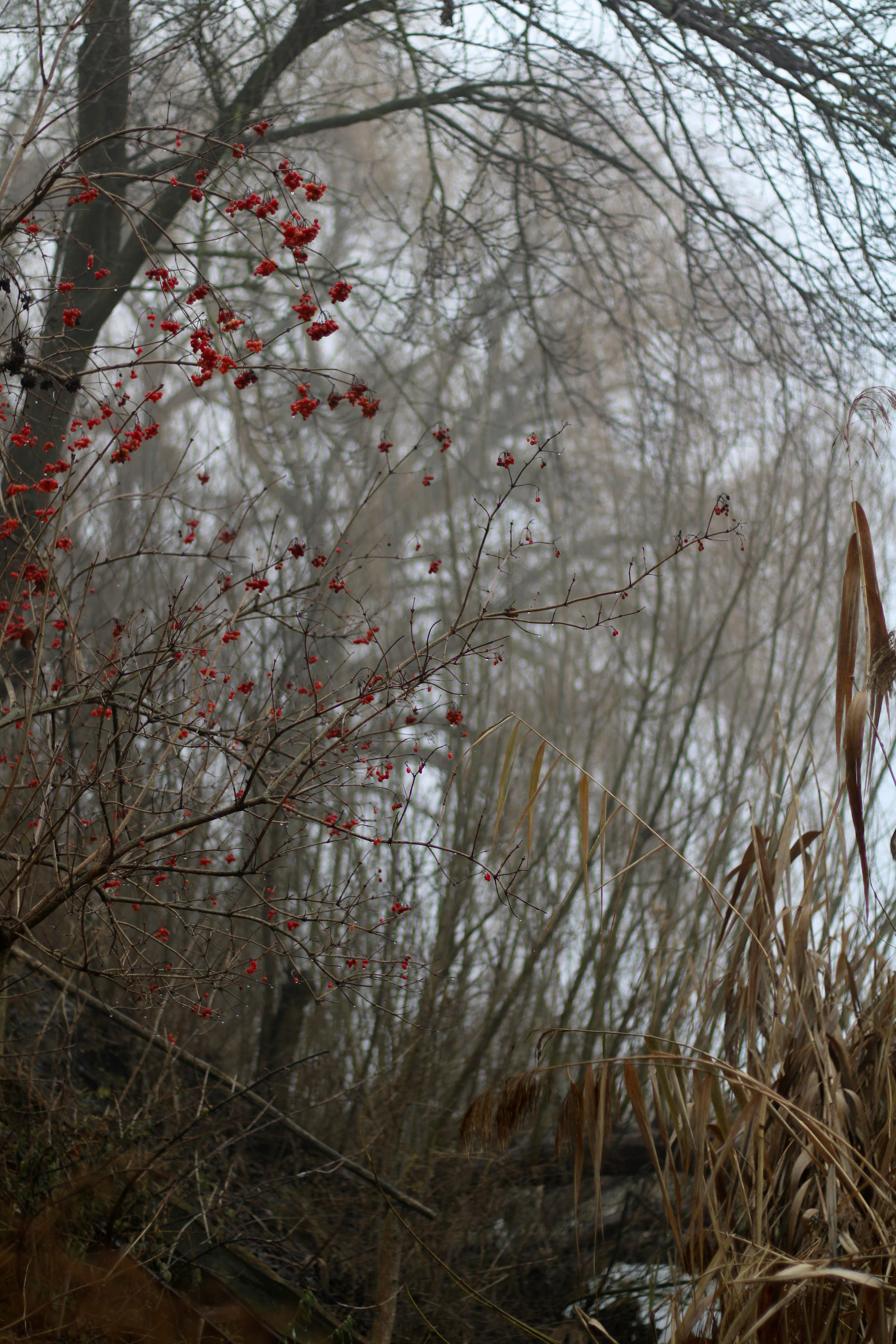 Photo by mineral_of_demon