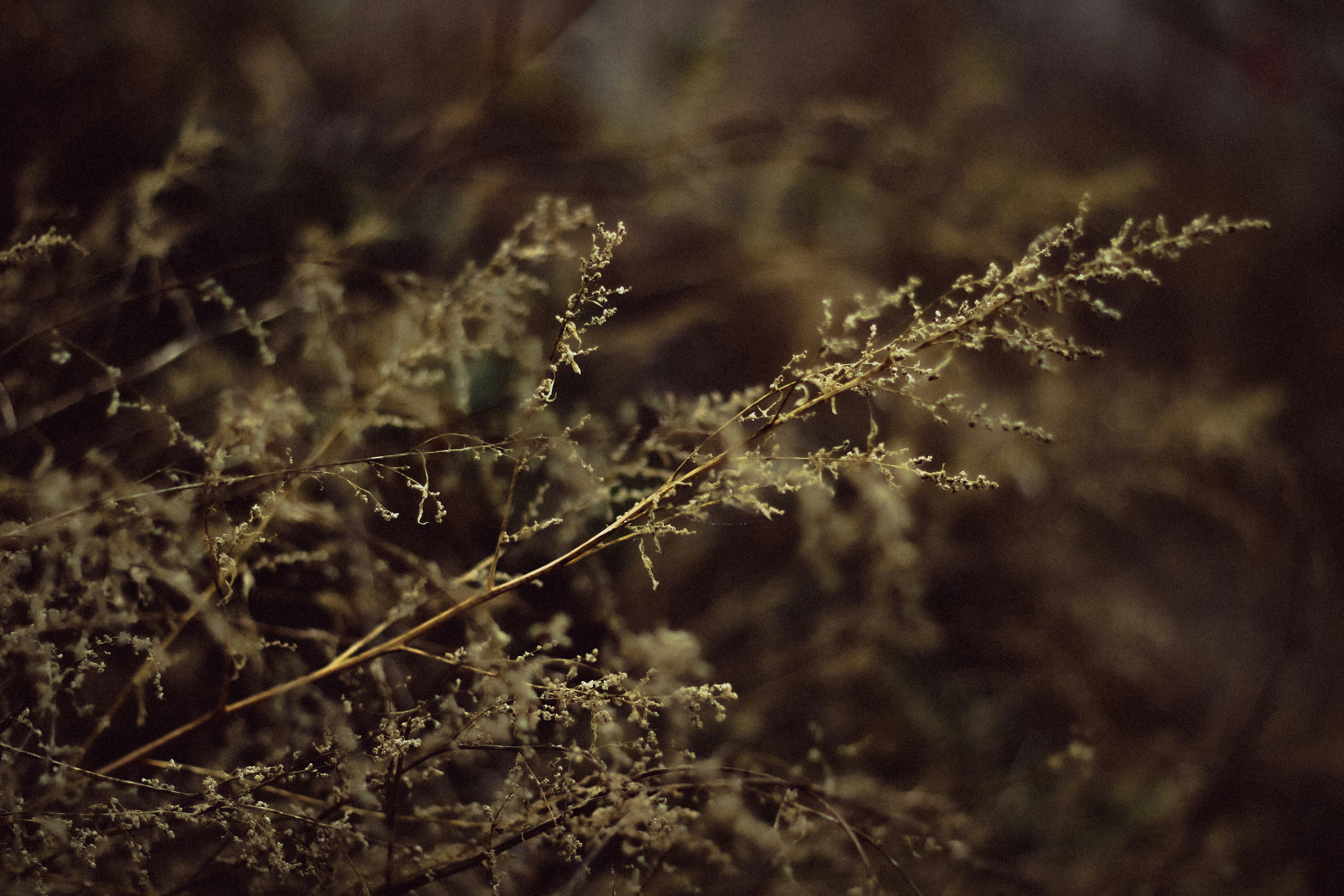 Photo by mineral_of_demon