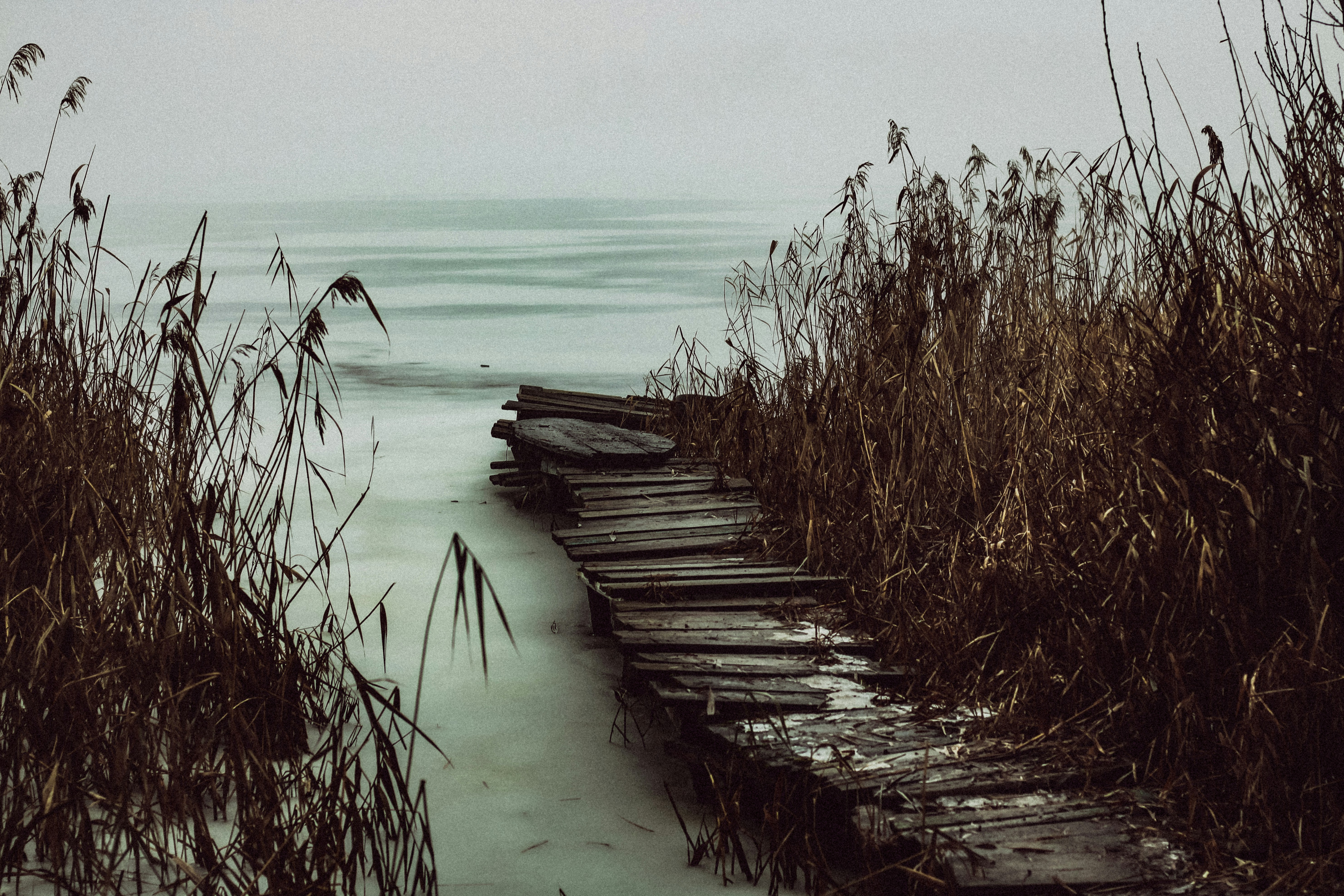 Photo by mineral_of_demon