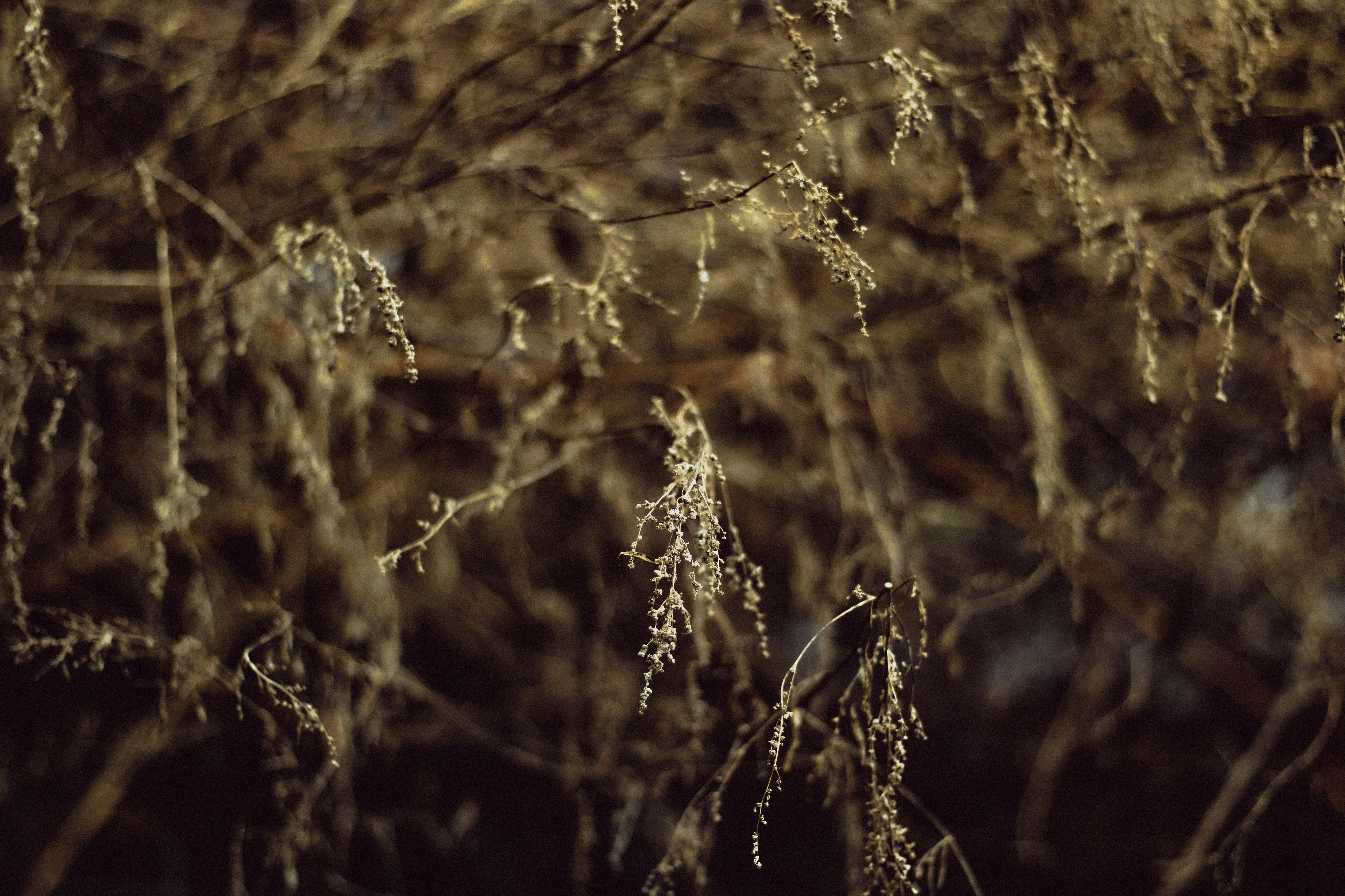 Photo by mineral_of_demon