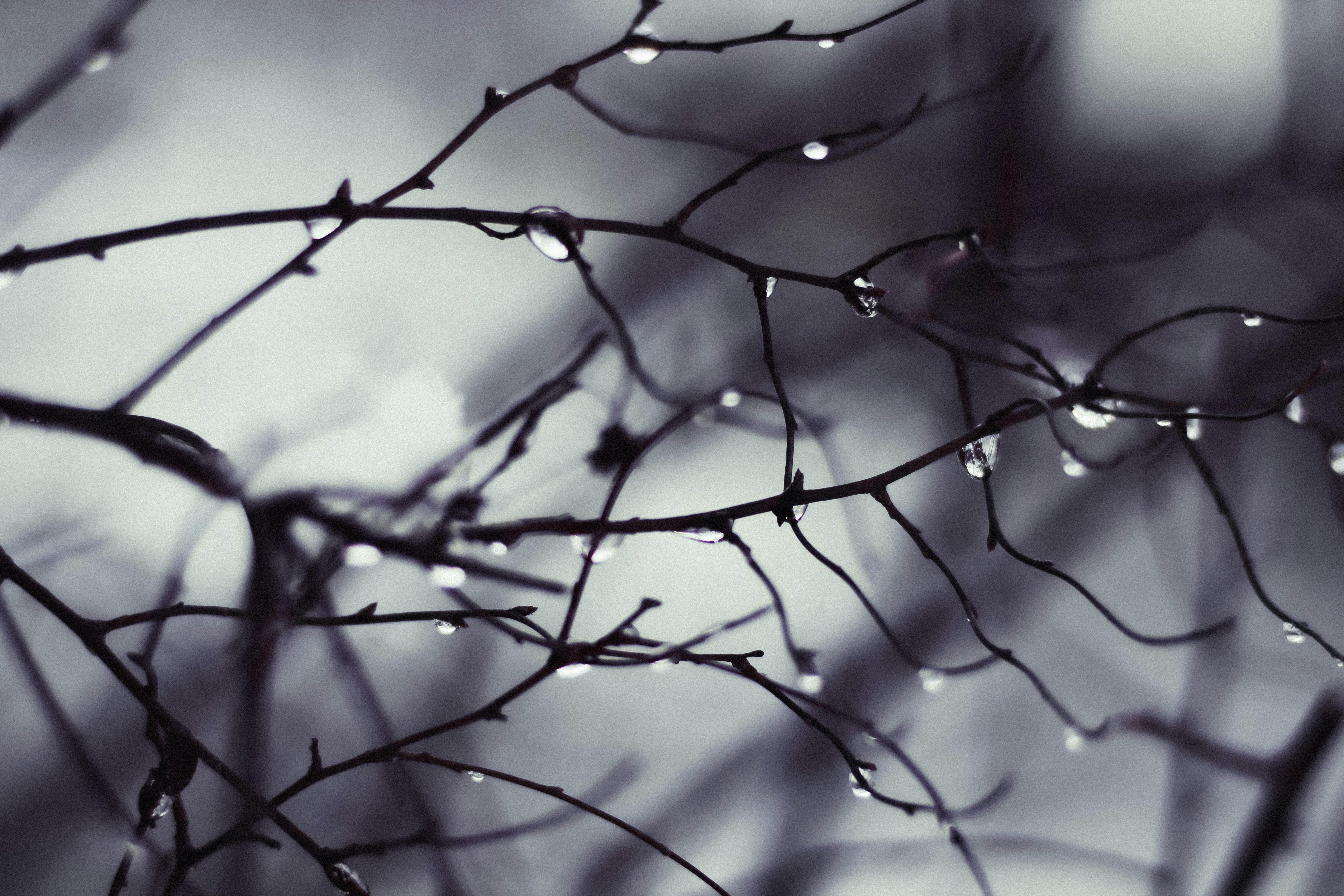 Photo by mineral_of_demon