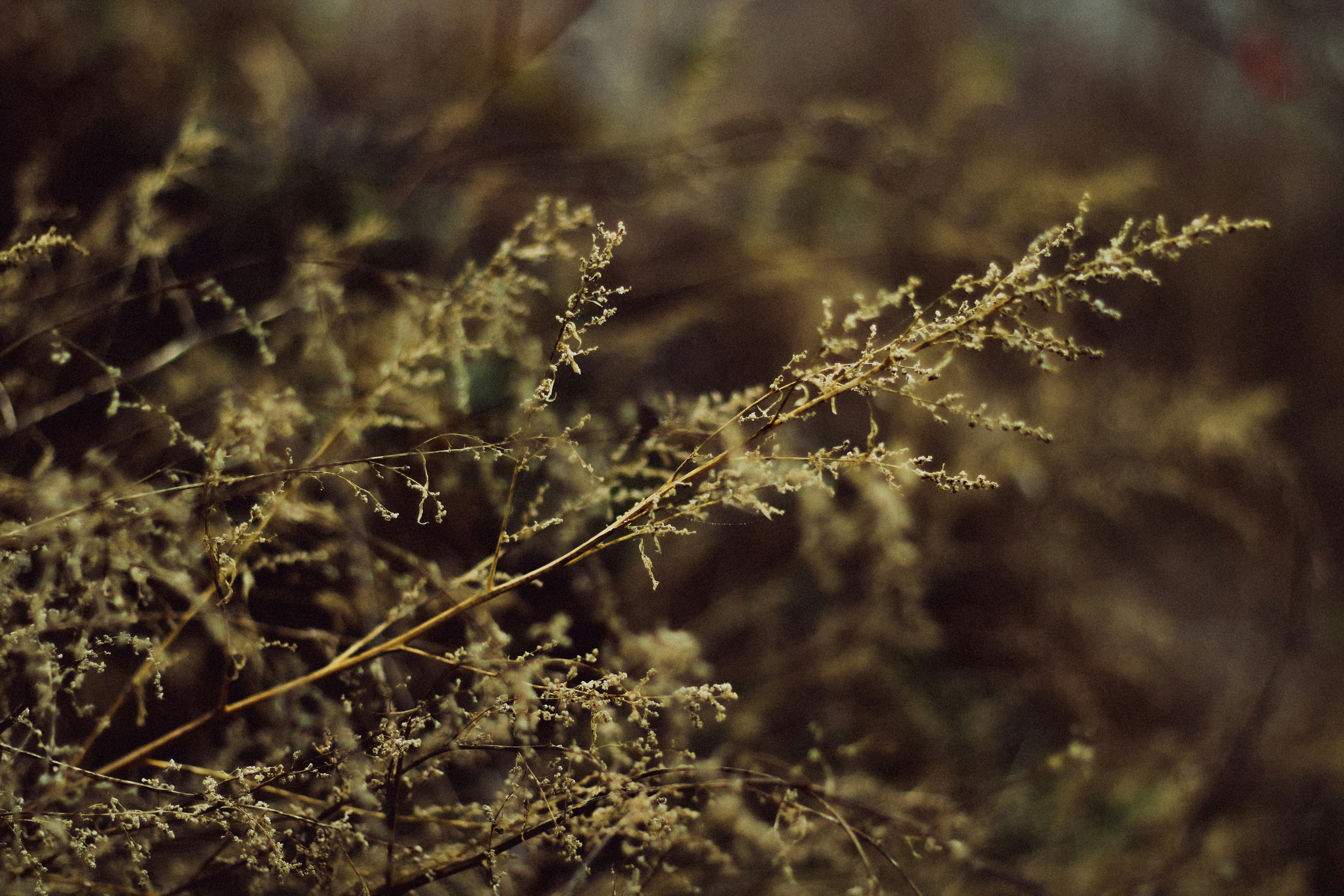 Photo by mineral_of_demon