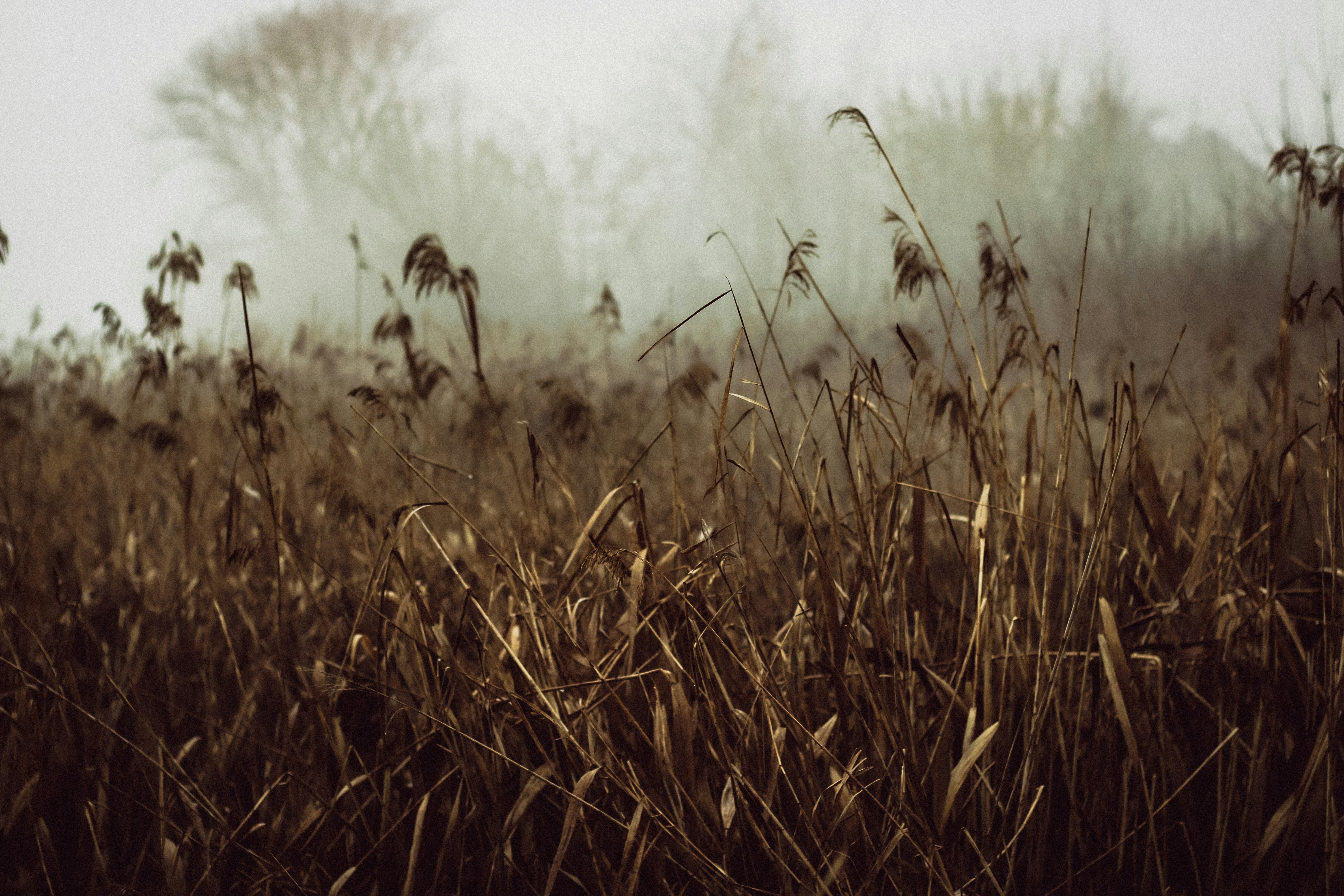 Photo by mineral_of_demon