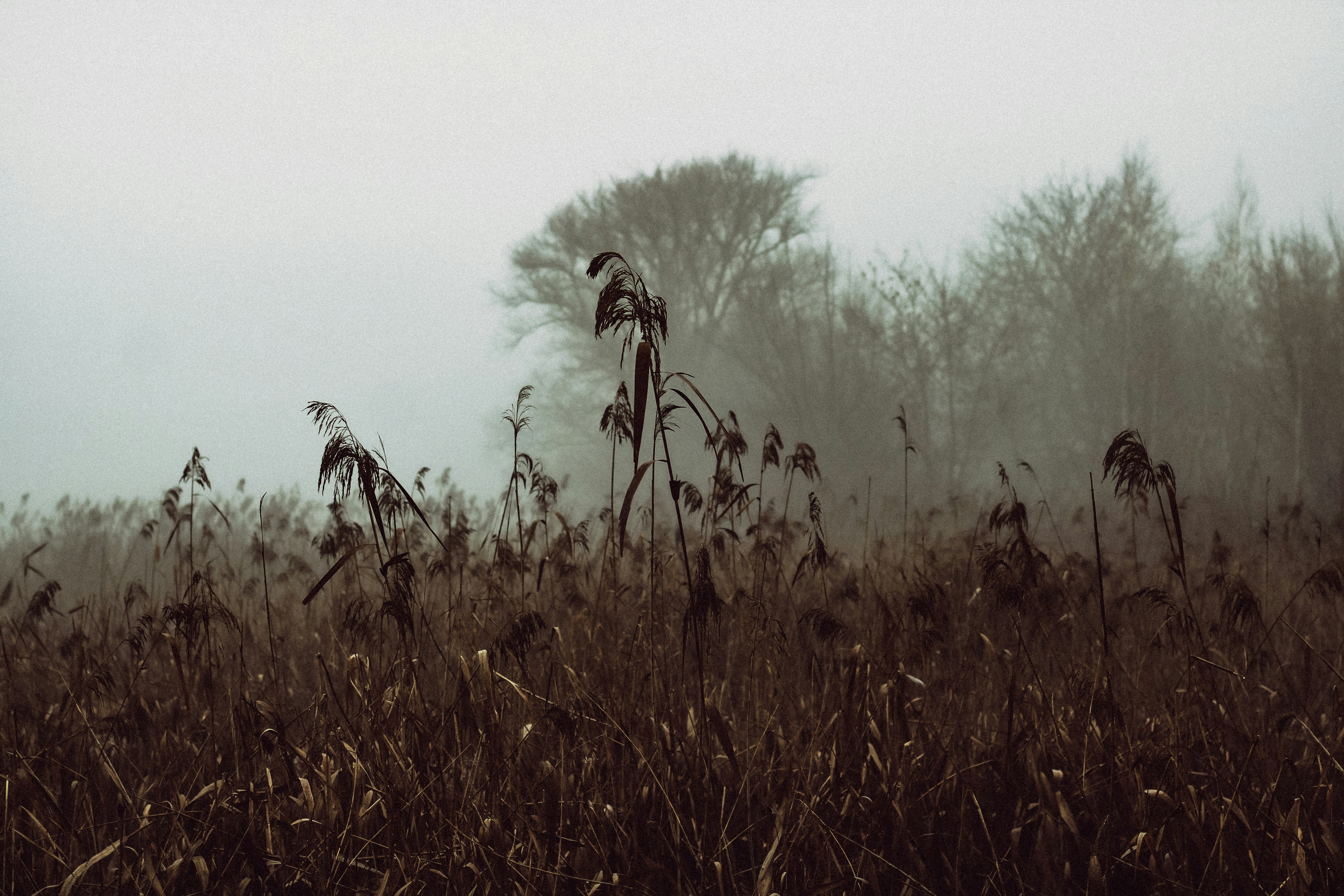 Photo by mineral_of_demon