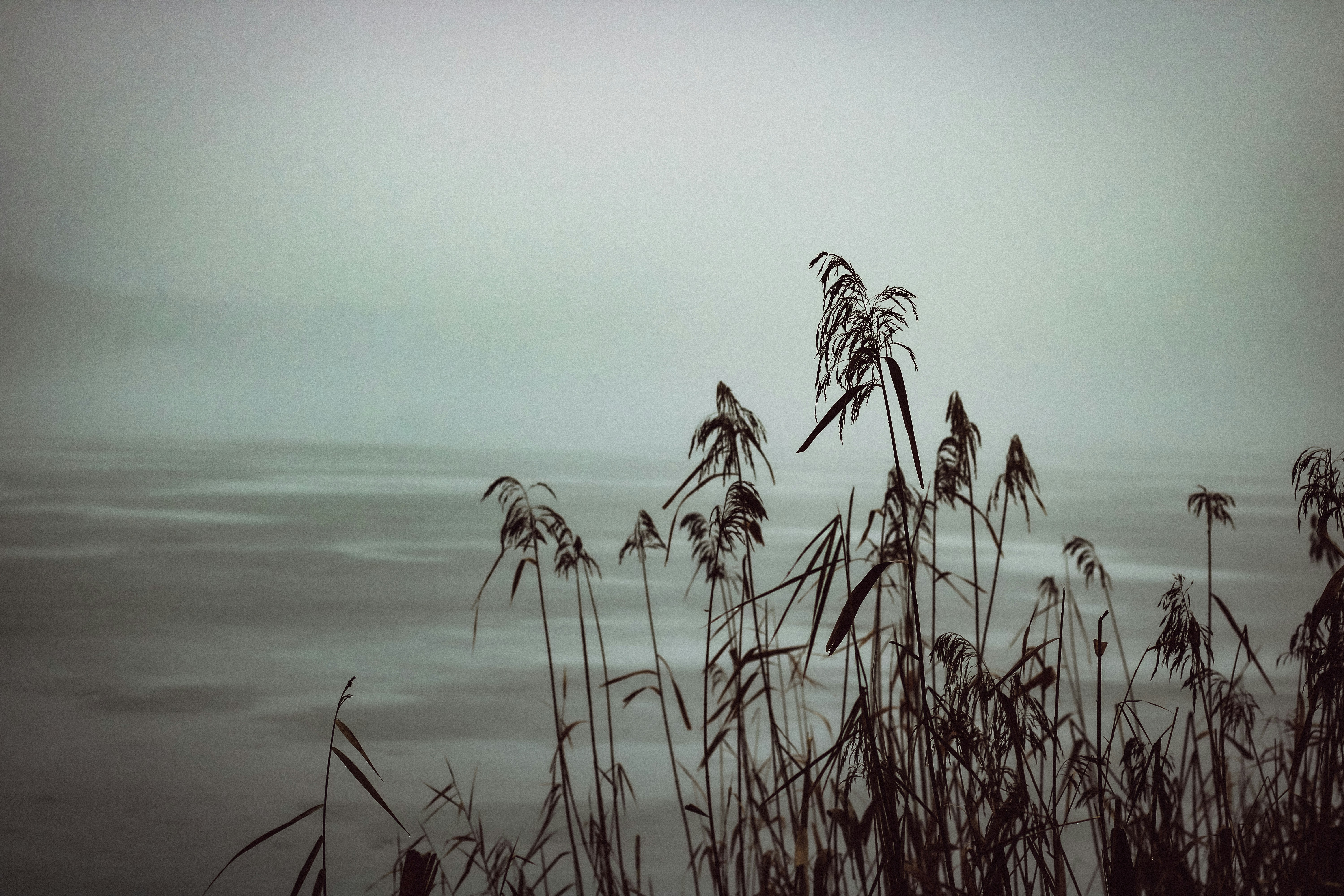 Photo by mineral_of_demon