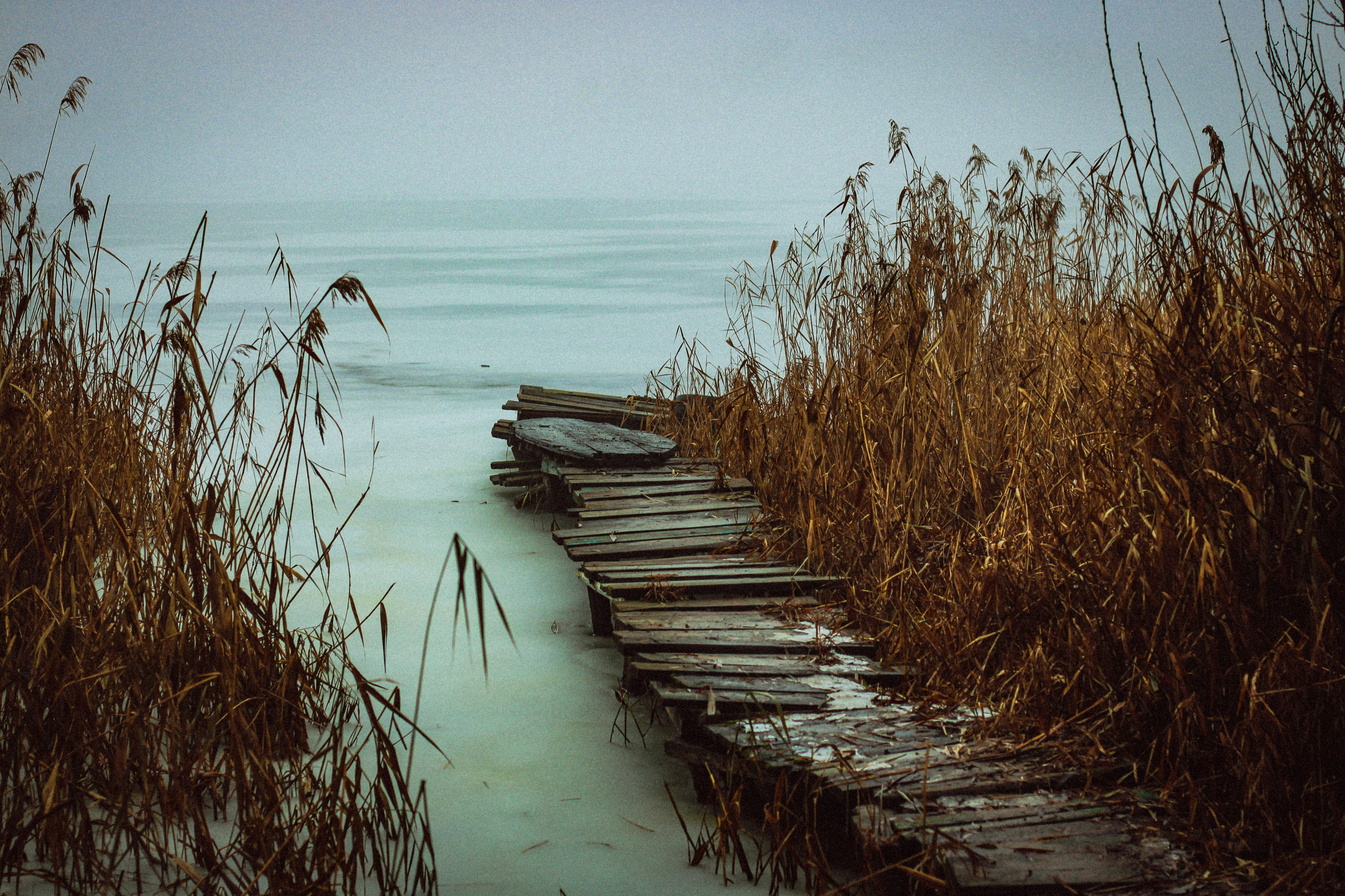 Photo by mineral_of_demon