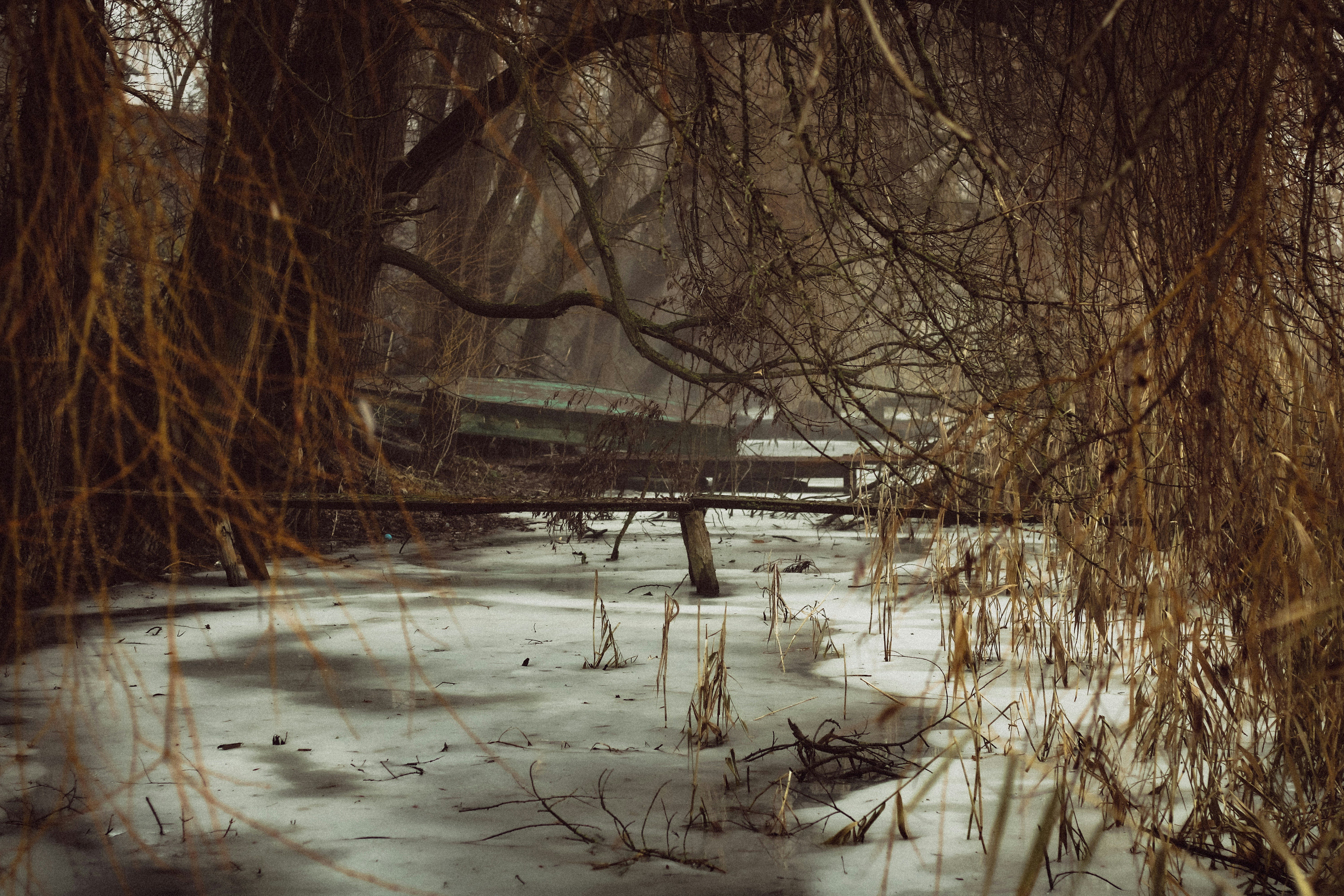 Photo by mineral_of_demon