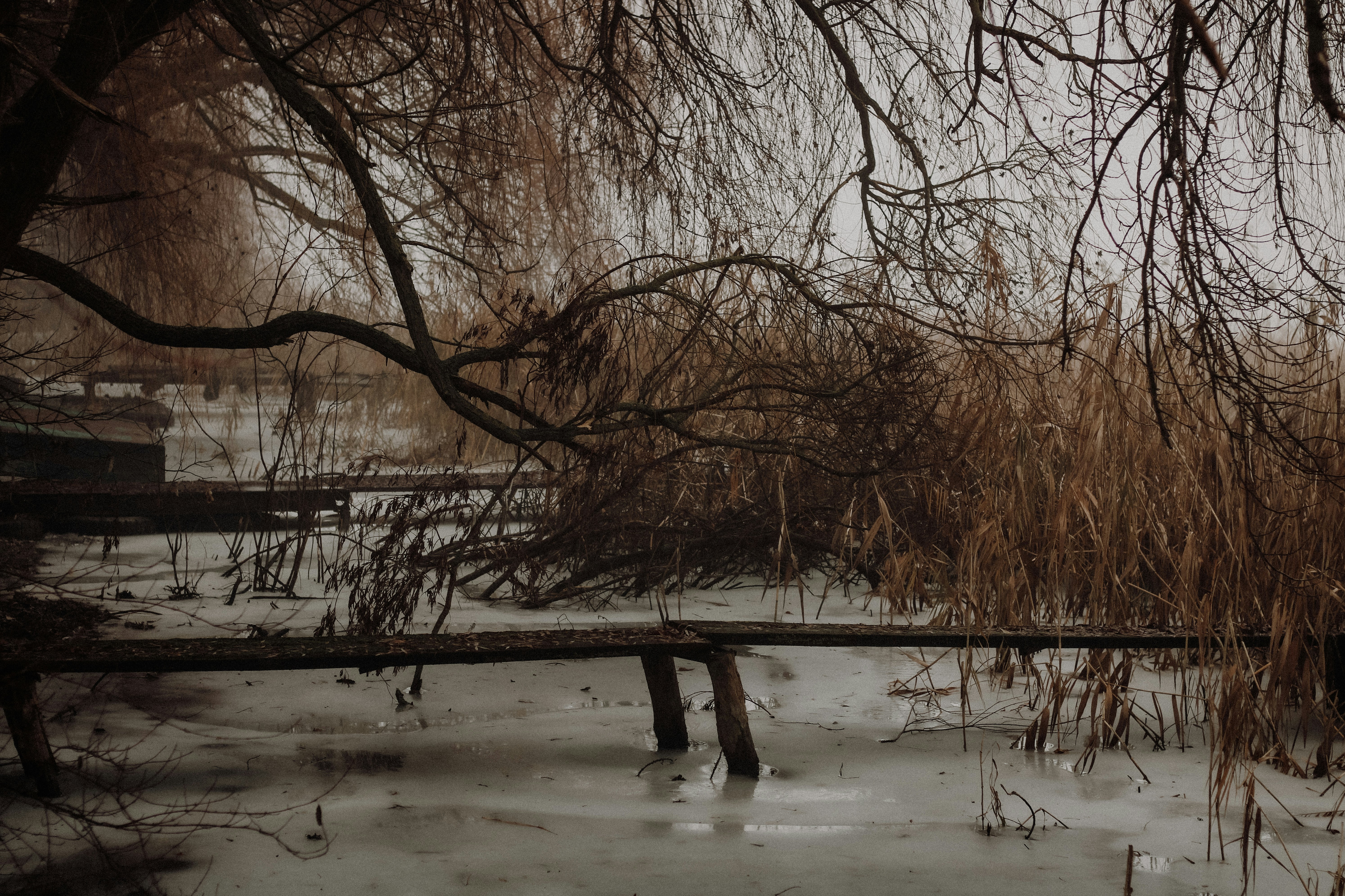 Photo by mineral_of_demon