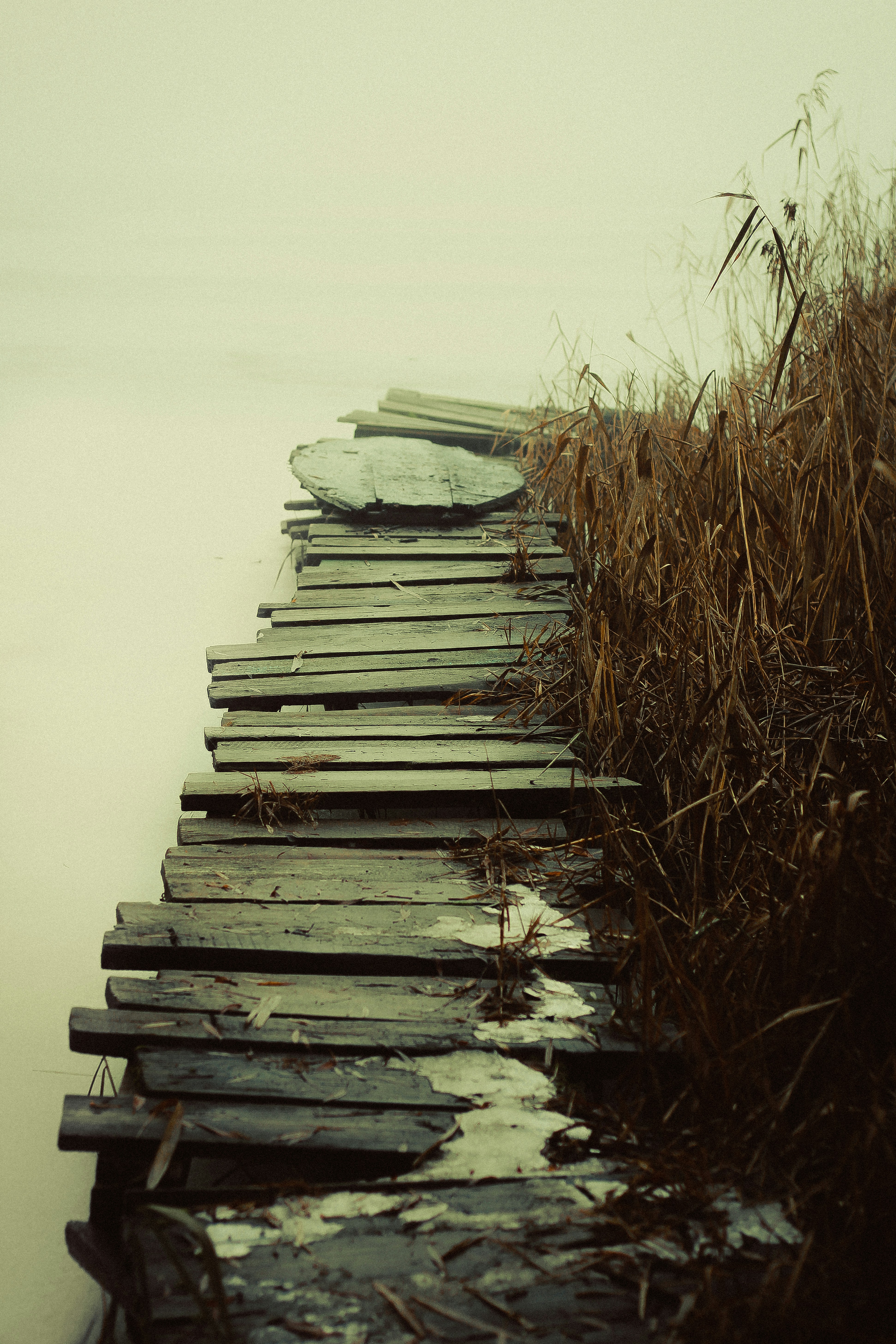 Photo by mineral_of_demon