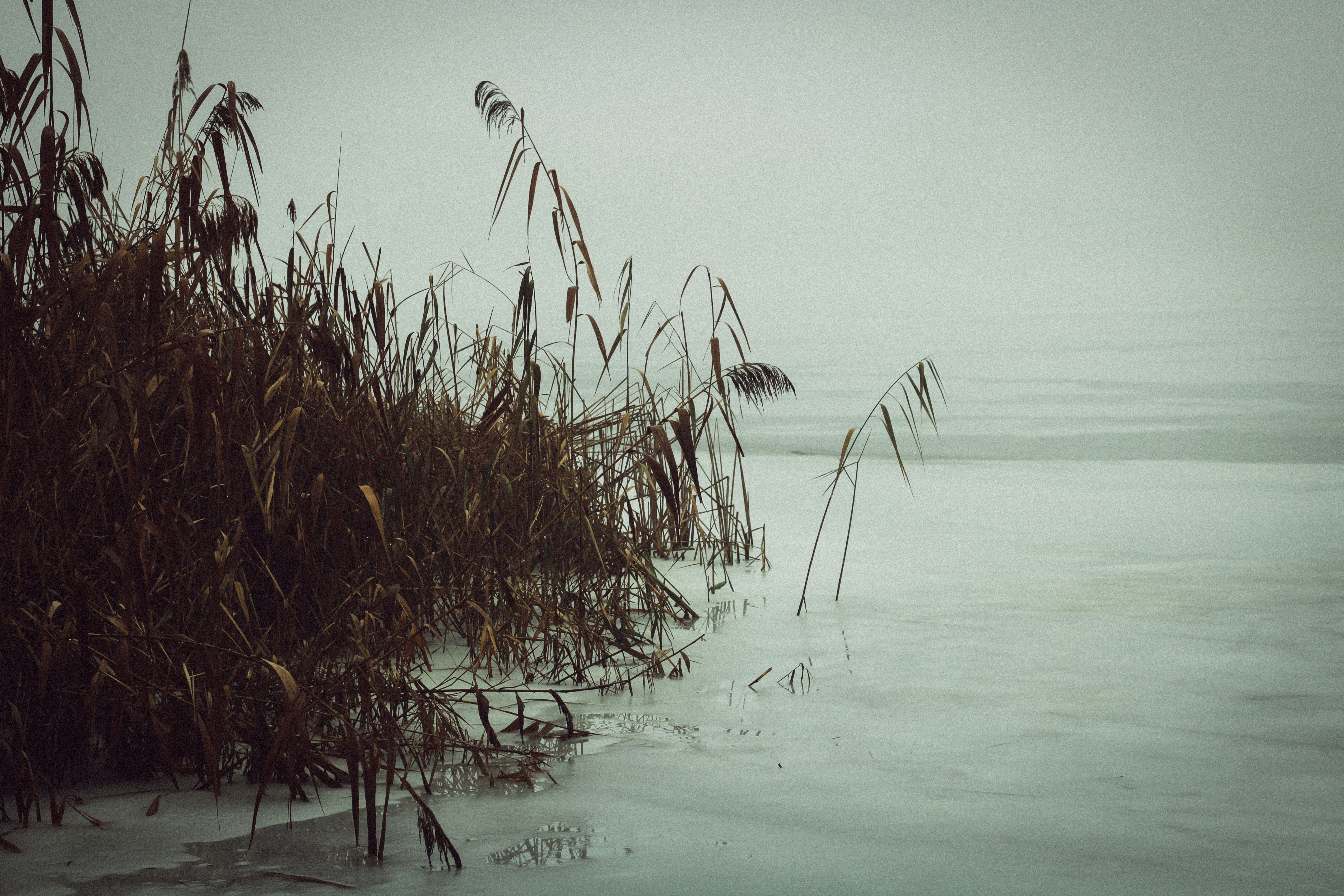 Photo by mineral_of_demon