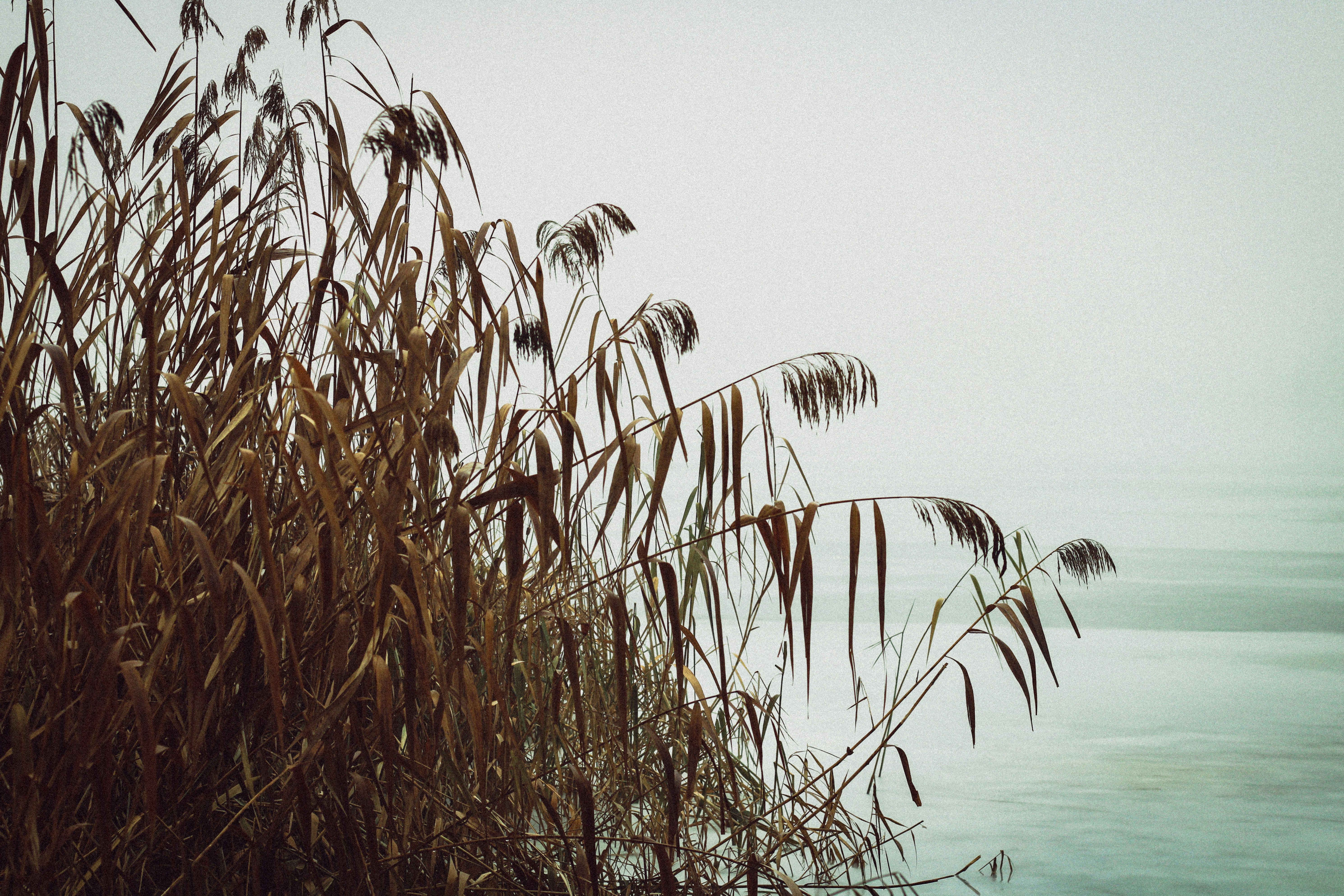 Photo by mineral_of_demon