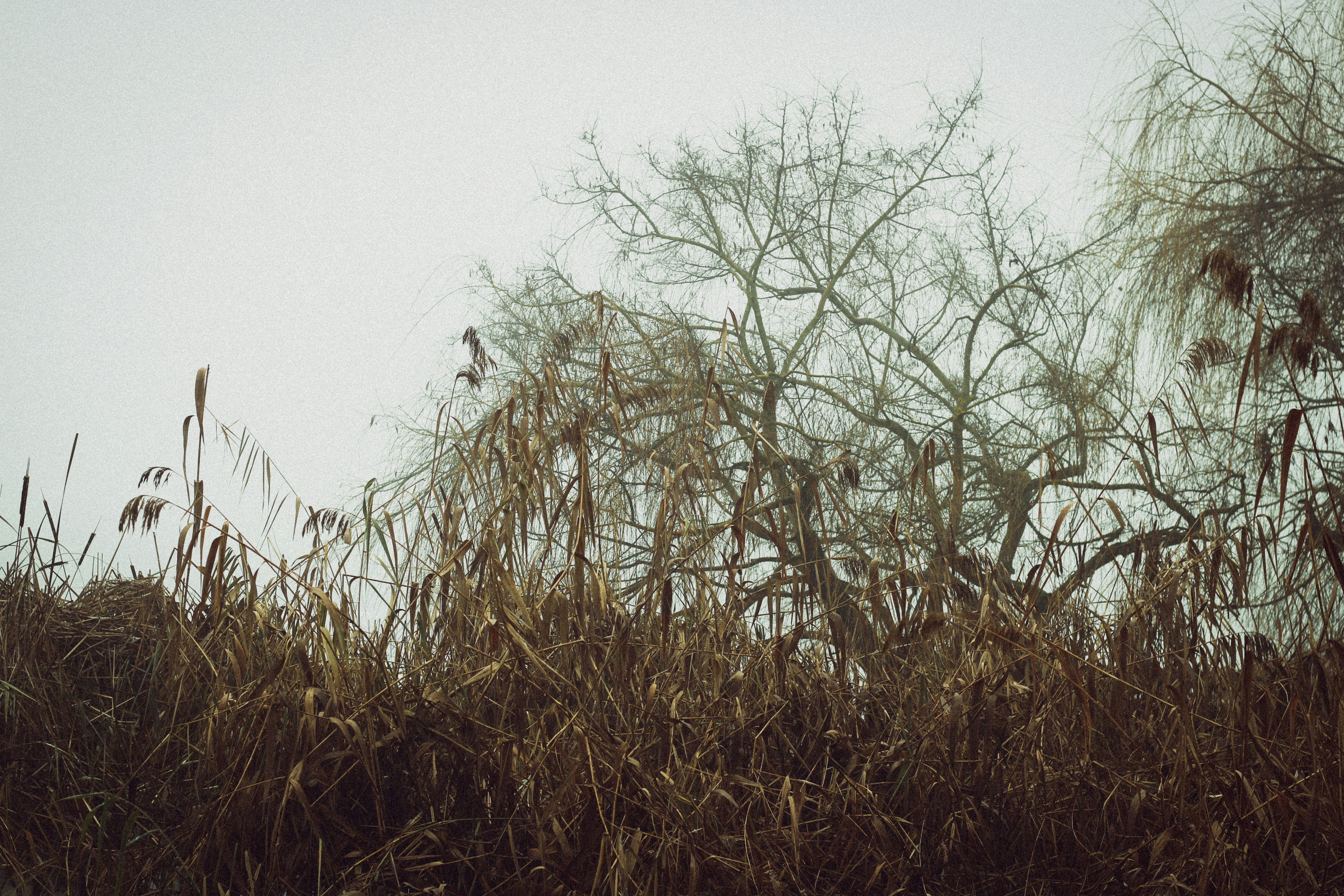 Photo by mineral_of_demon