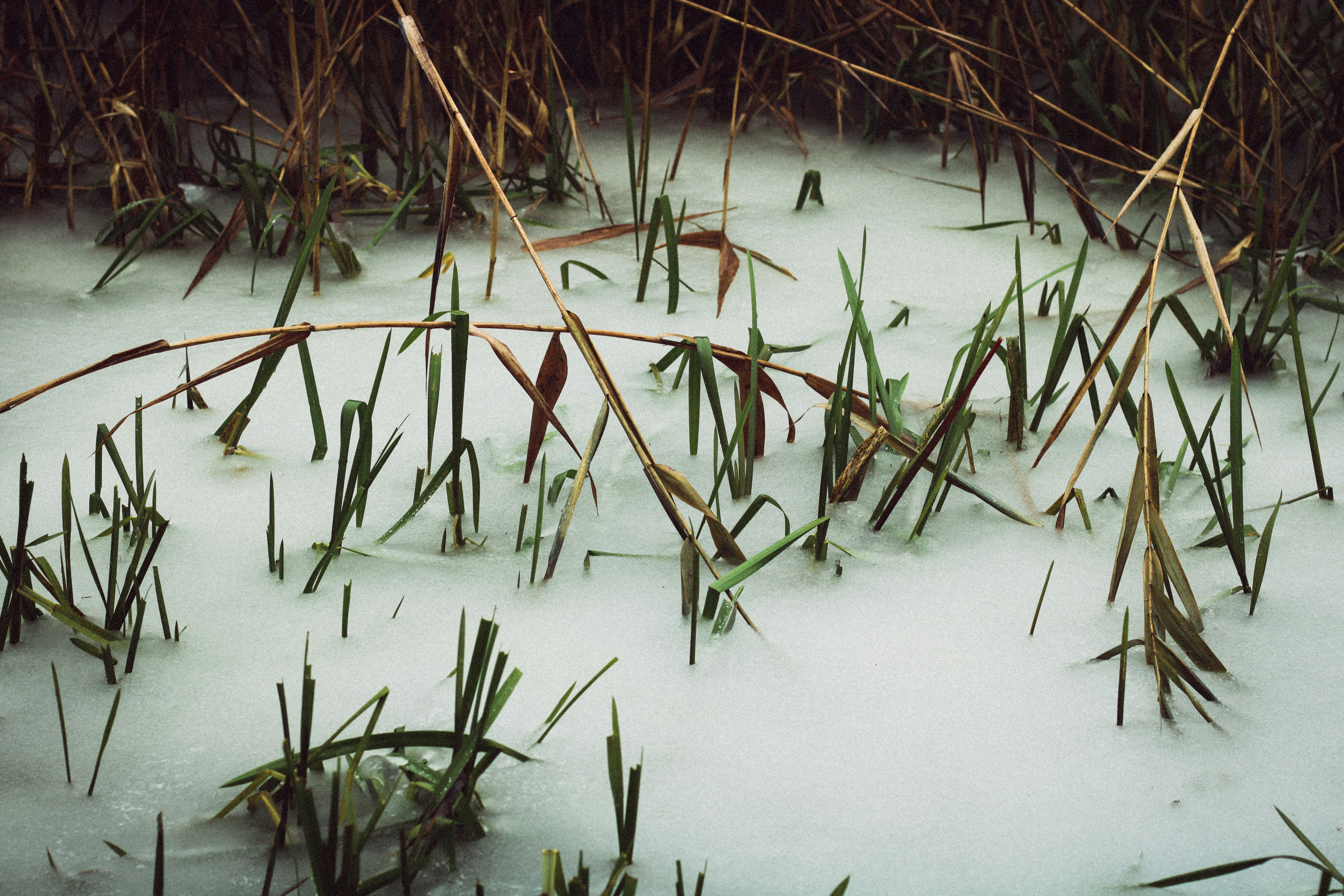 Photo by mineral_of_demon