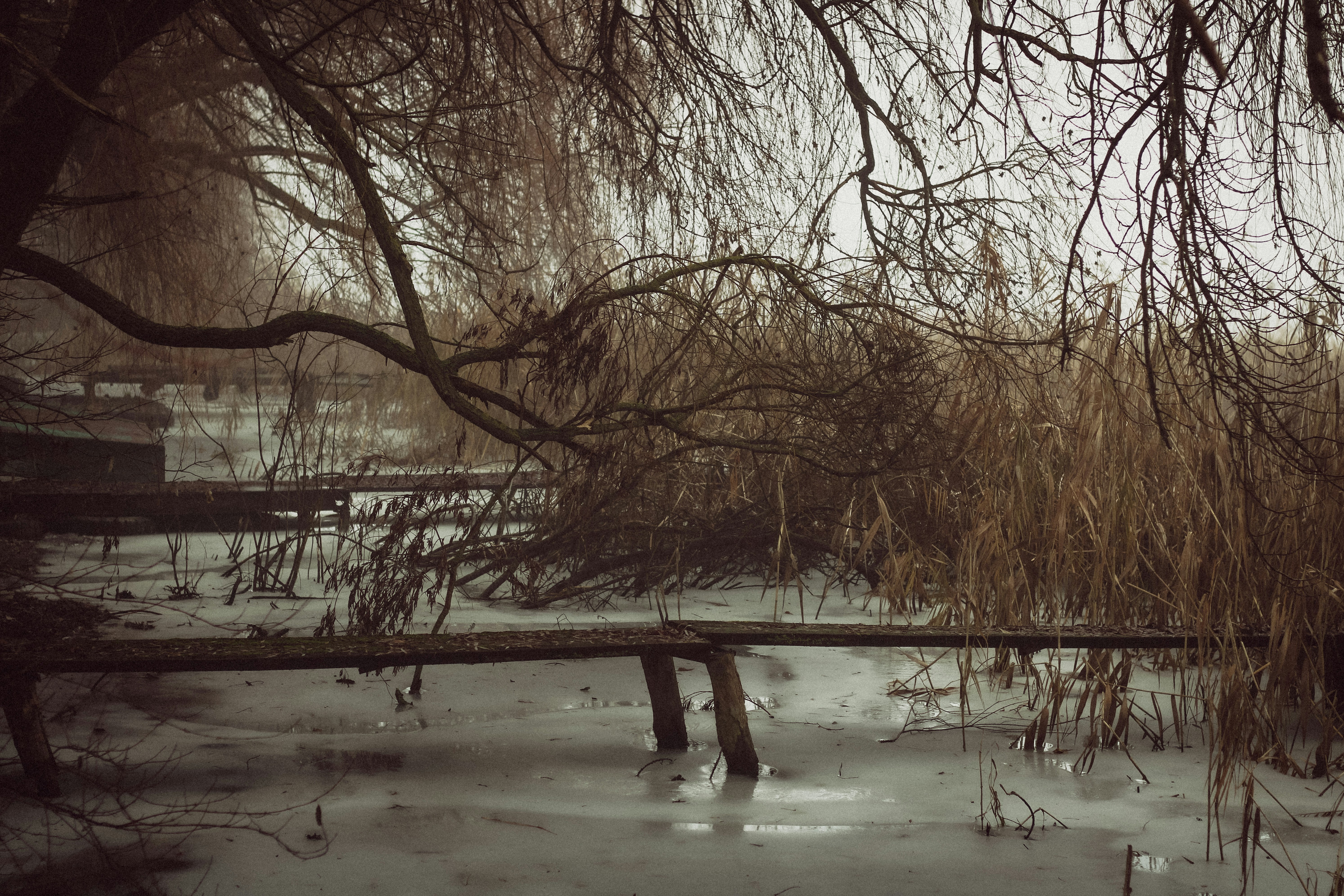 Photo by mineral_of_demon