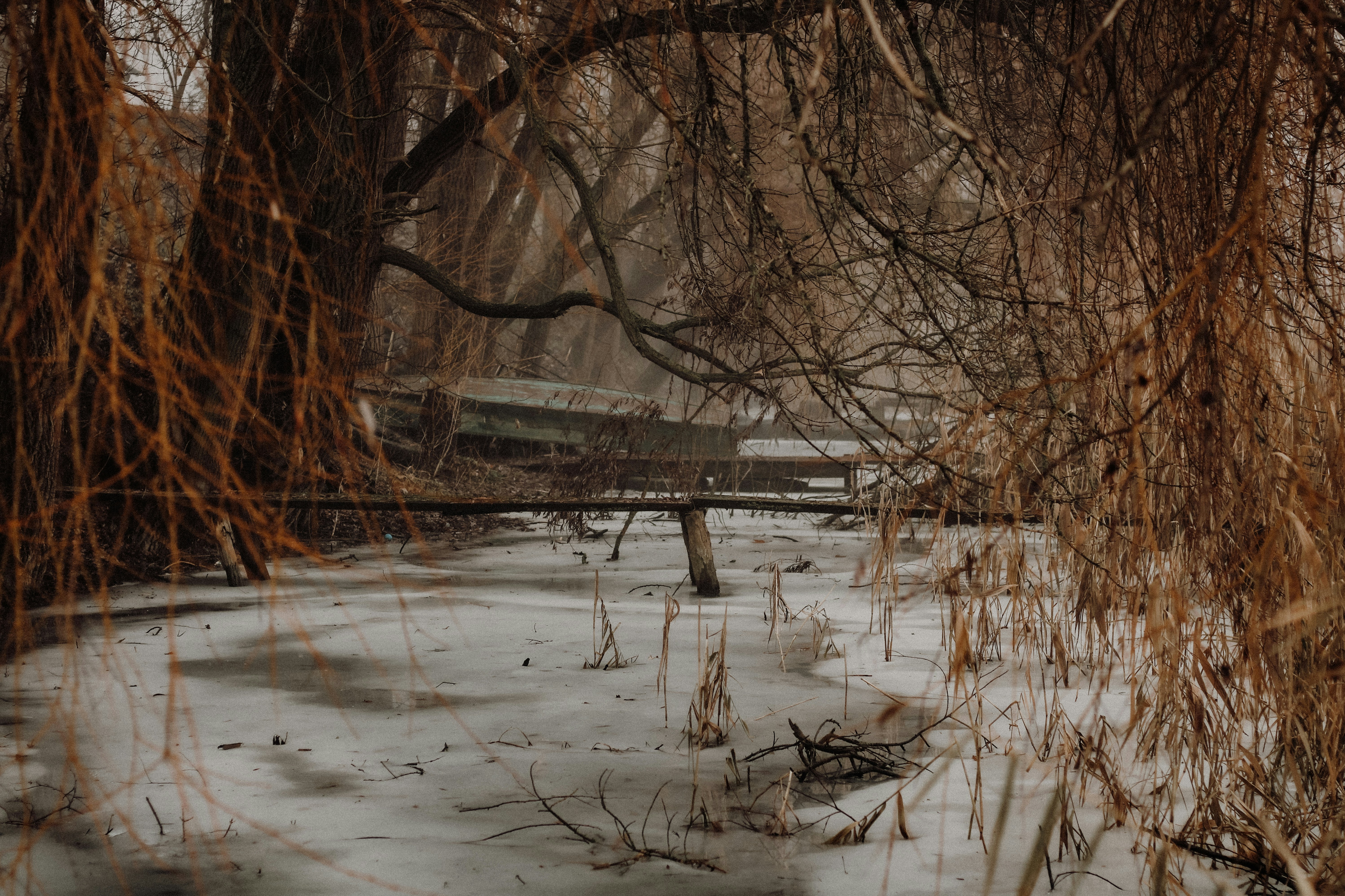 Photo by mineral_of_demon