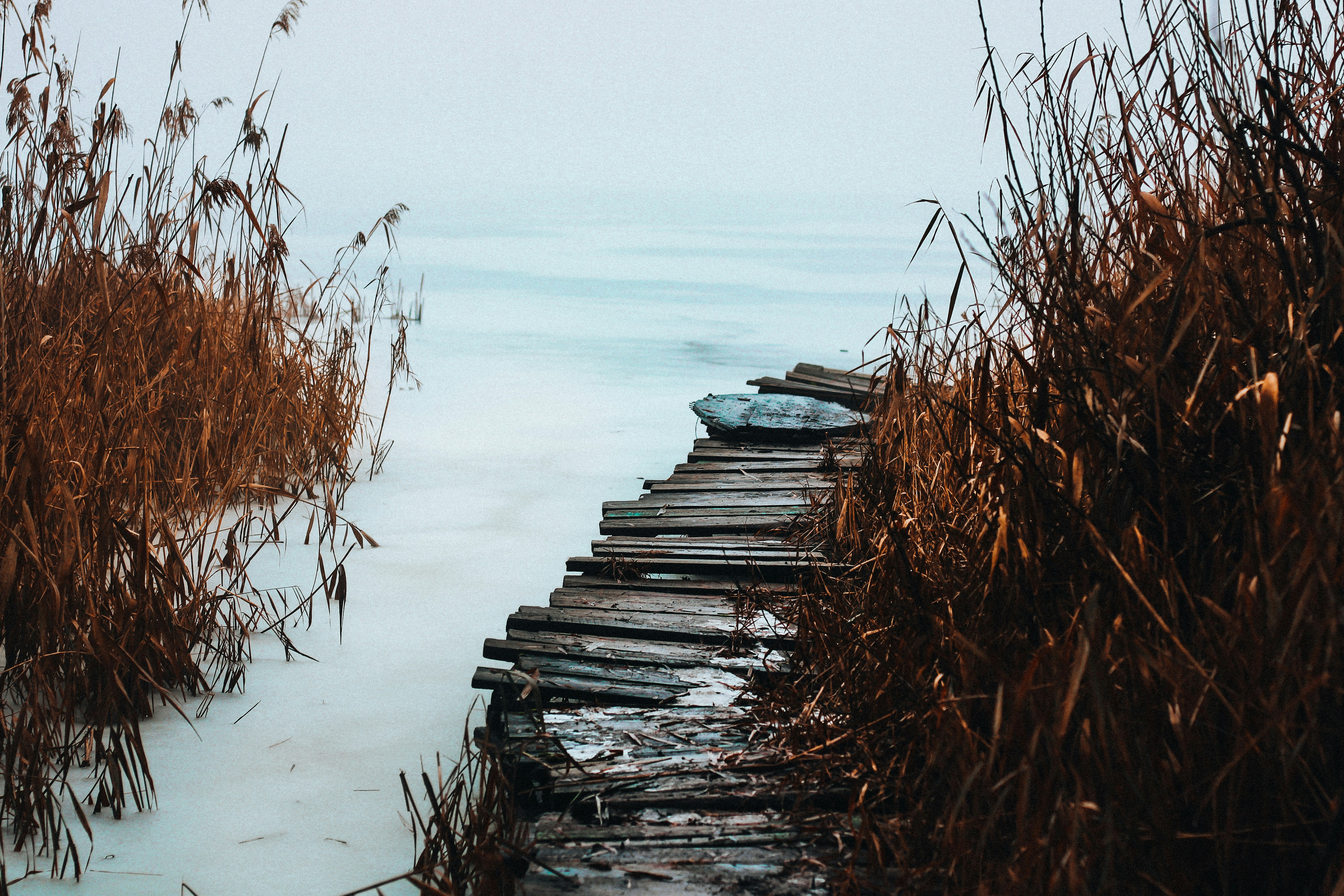 Photo by mineral_of_demon