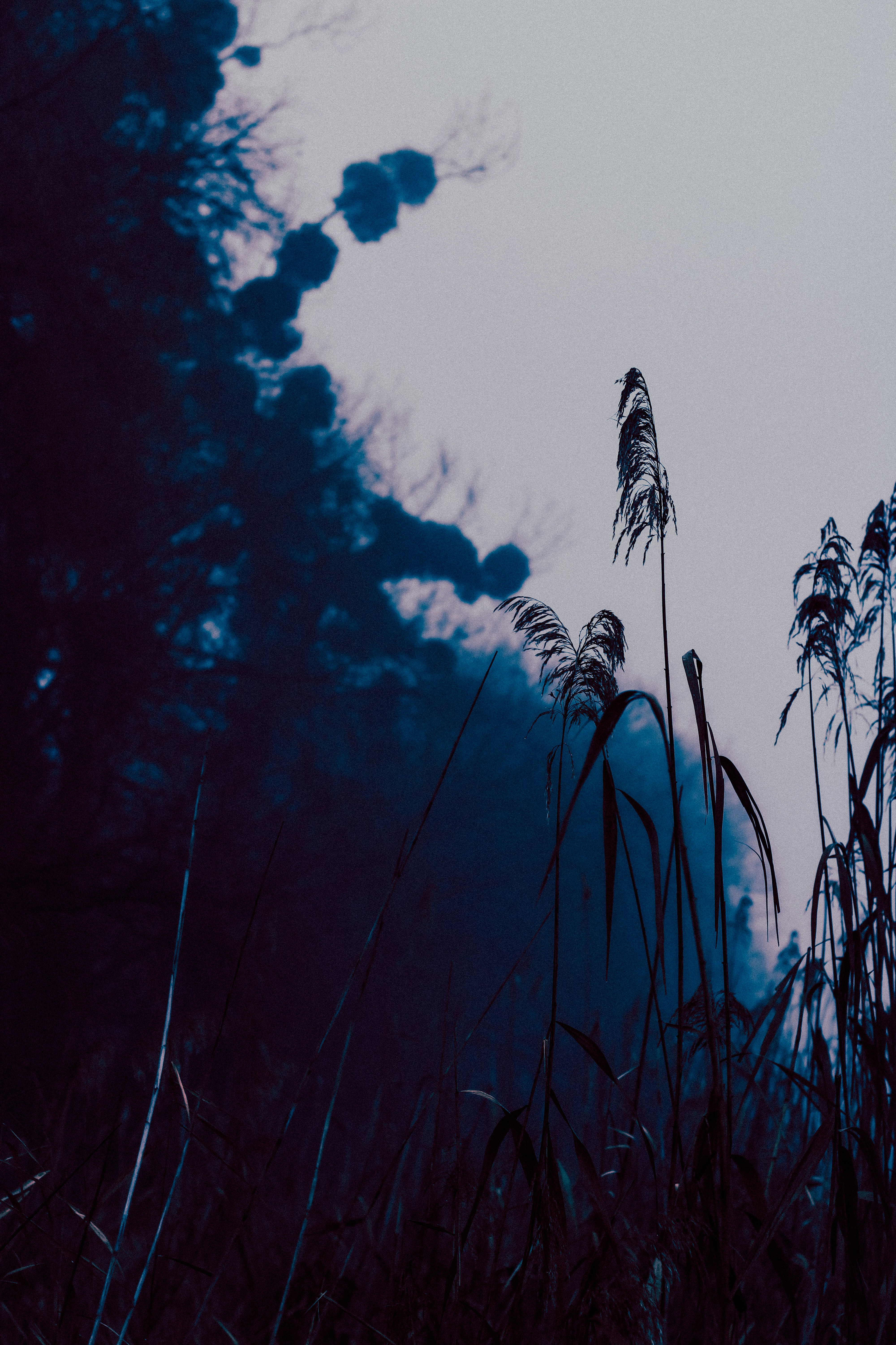 Photo by mineral_of_demon