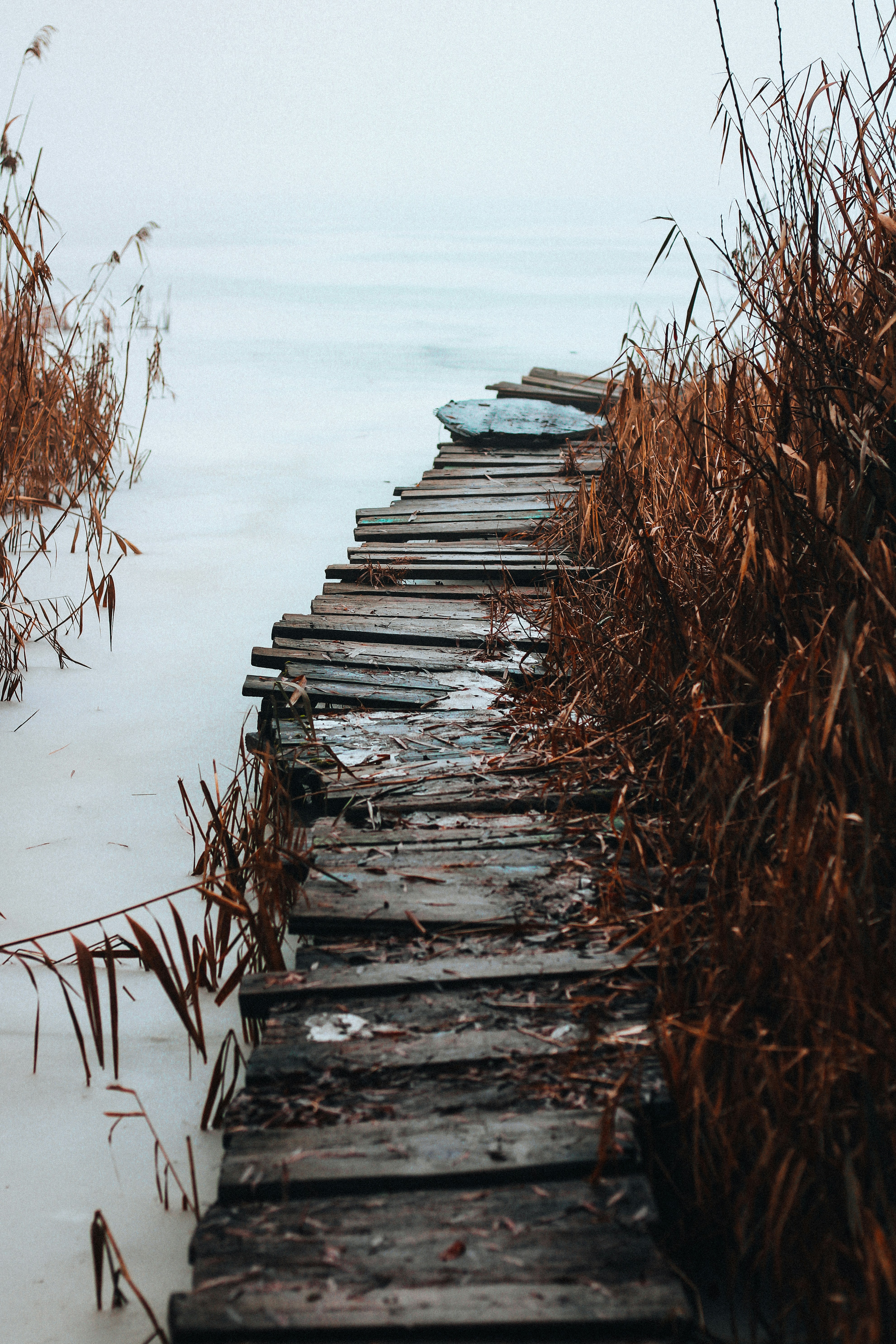 Photo by mineral_of_demon