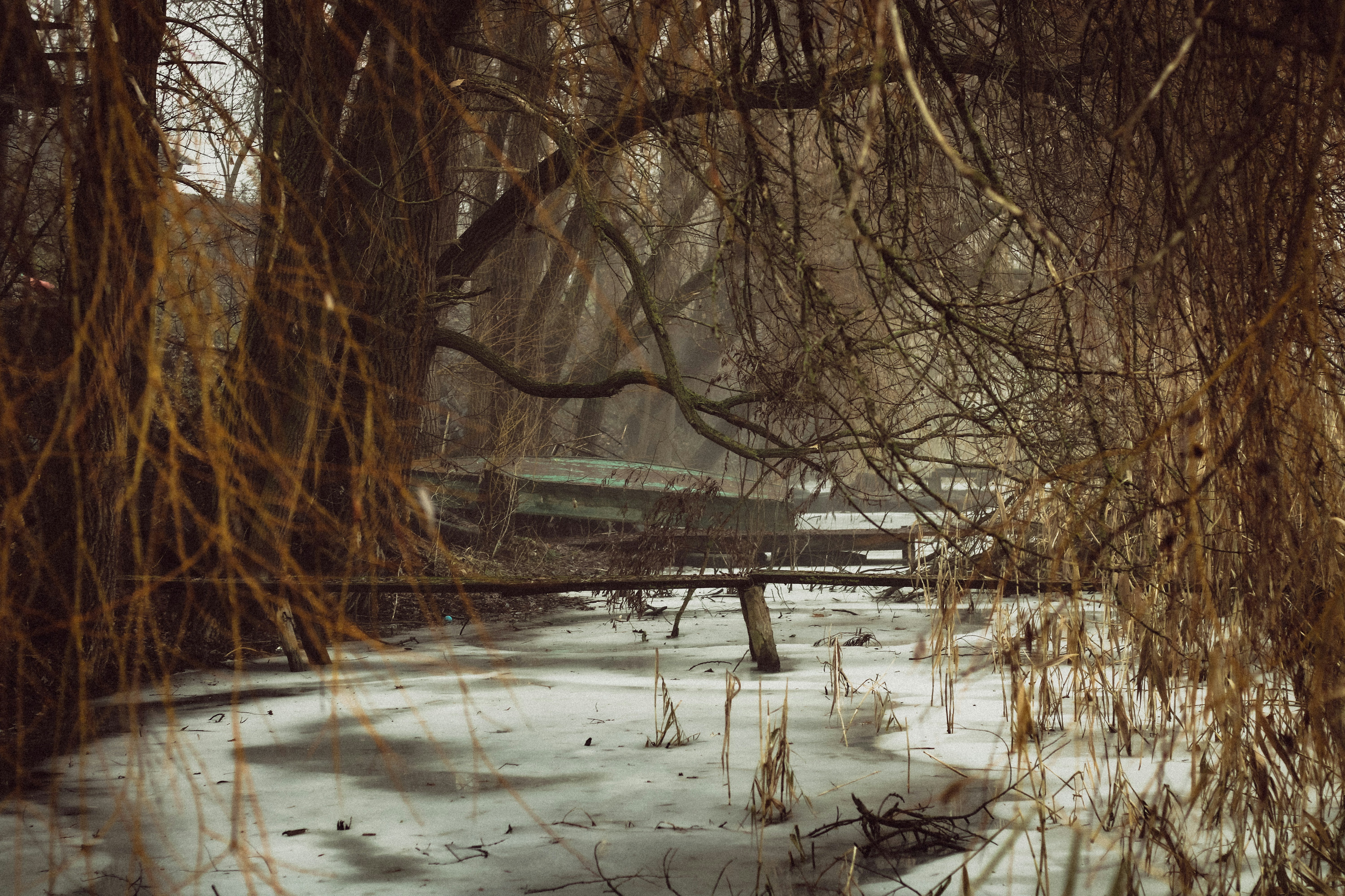 Photo by mineral_of_demon