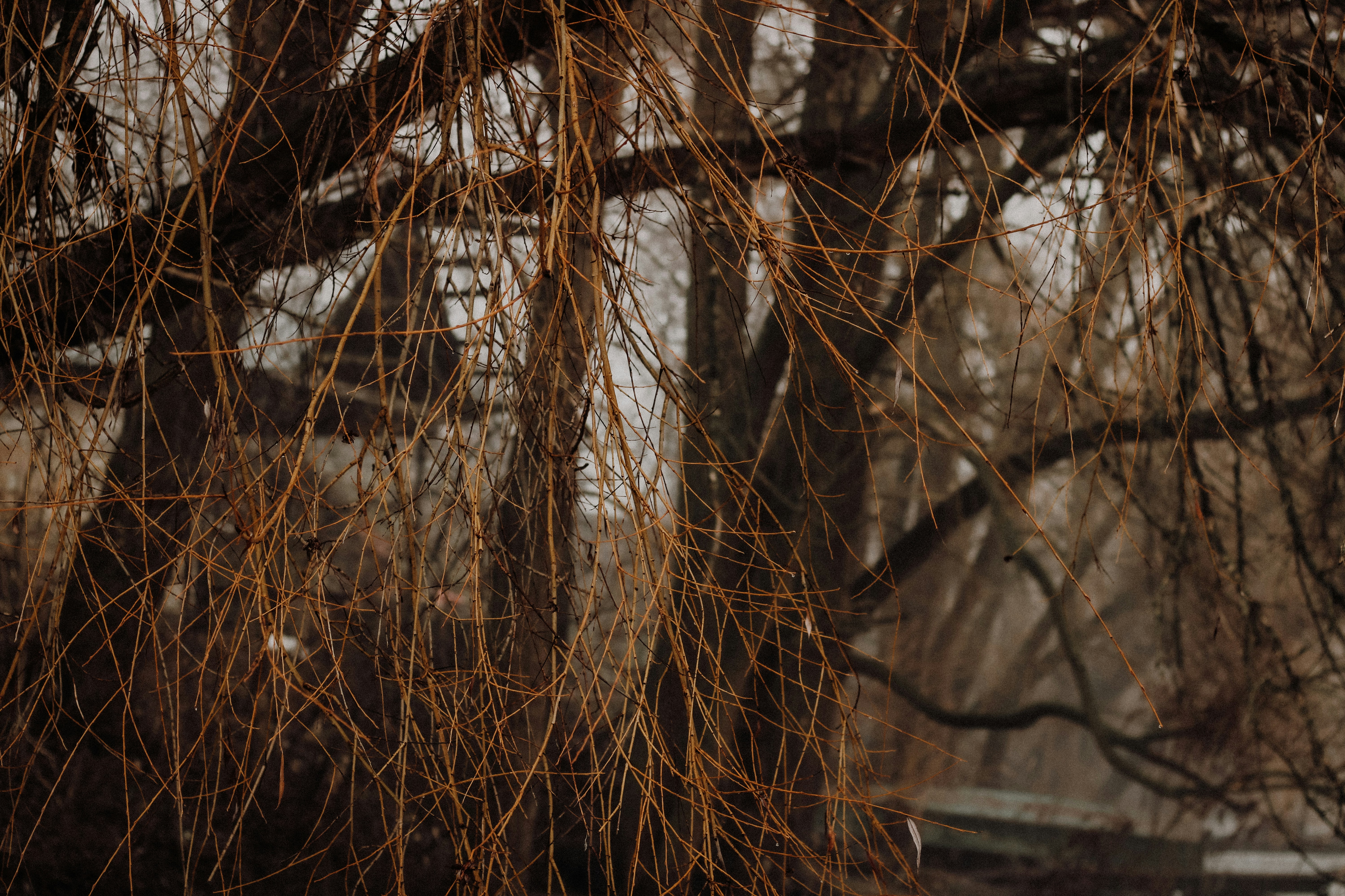 Photo by mineral_of_demon