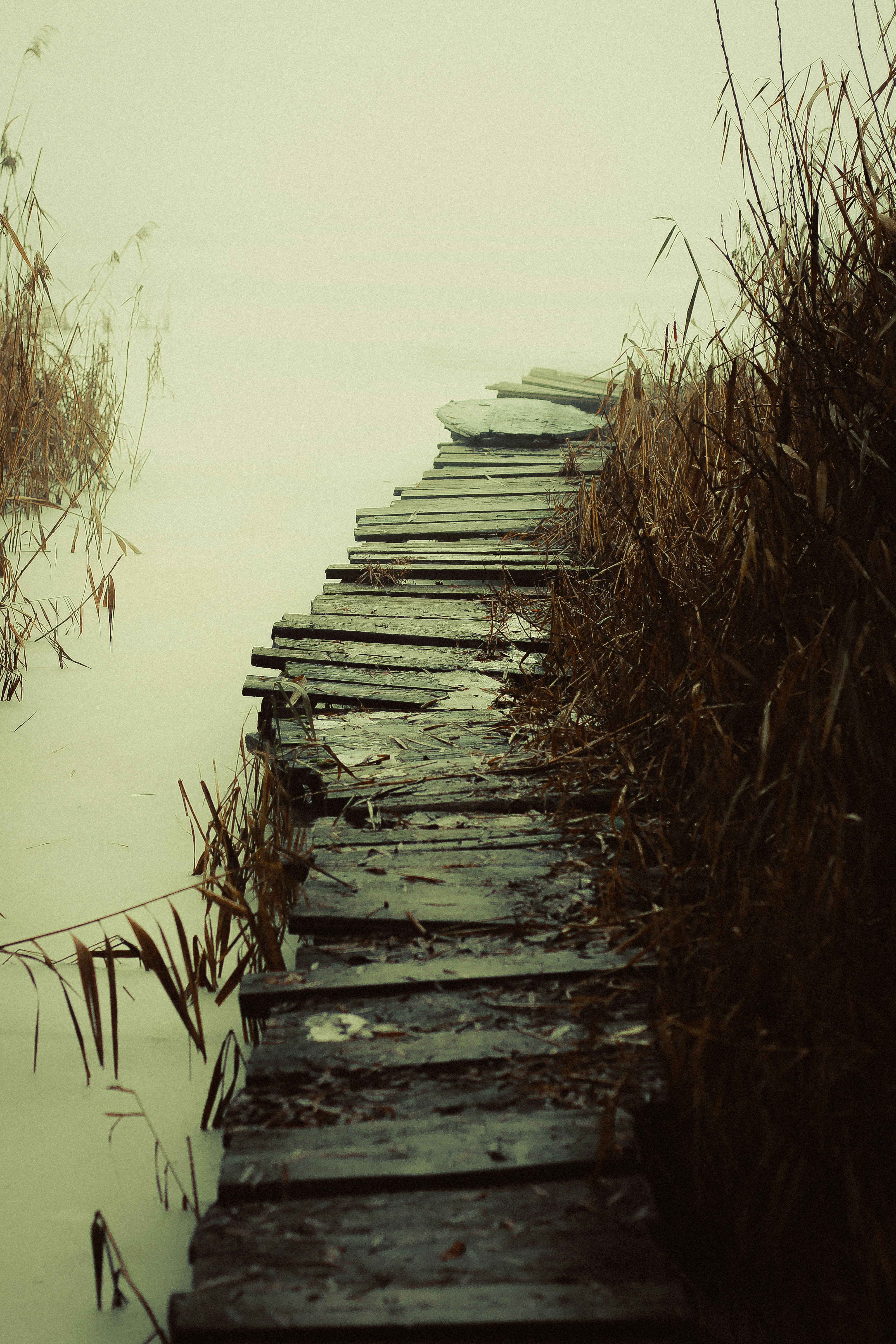 Photo by mineral_of_demon