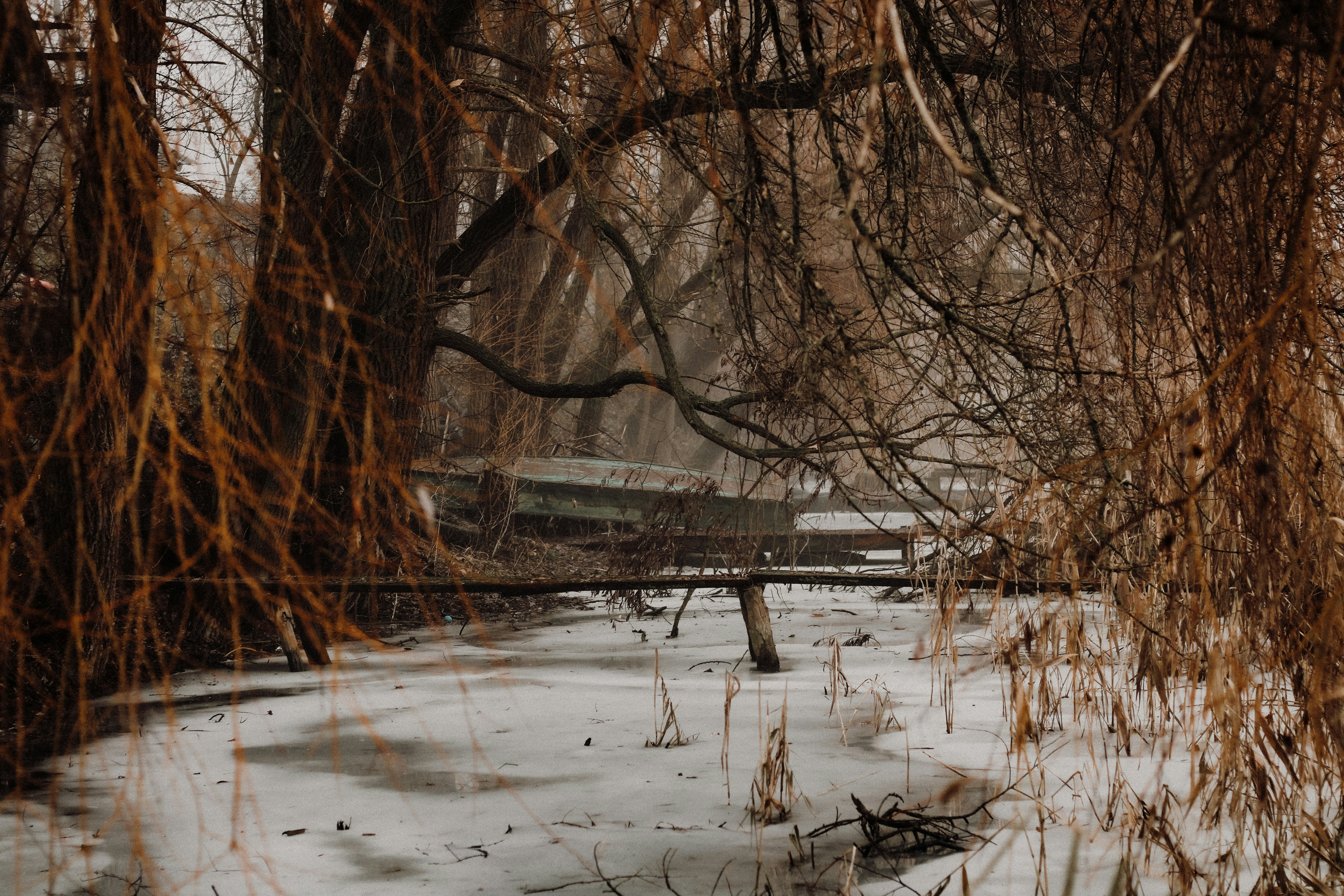 Photo by mineral_of_demon