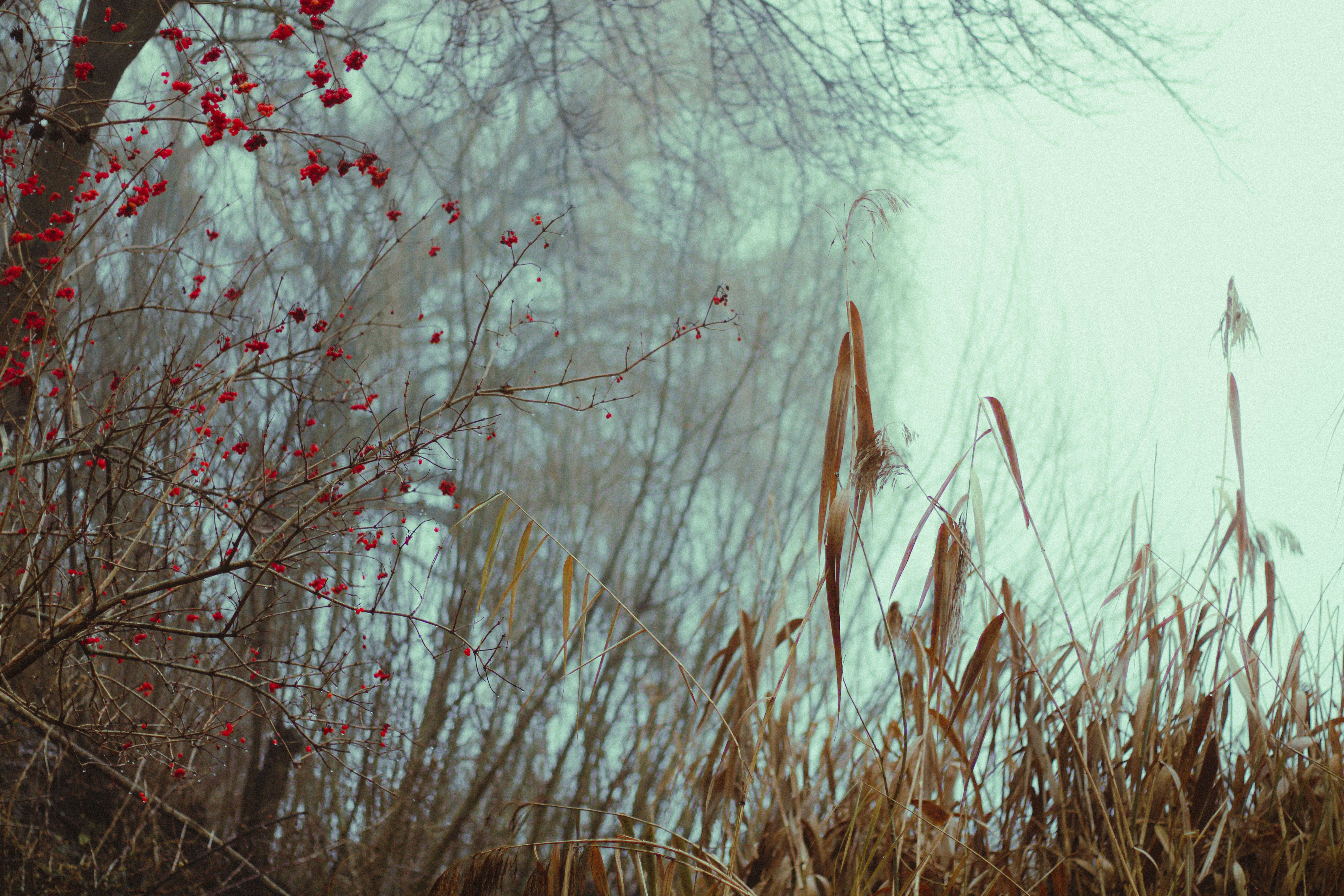 Photo by mineral_of_demon