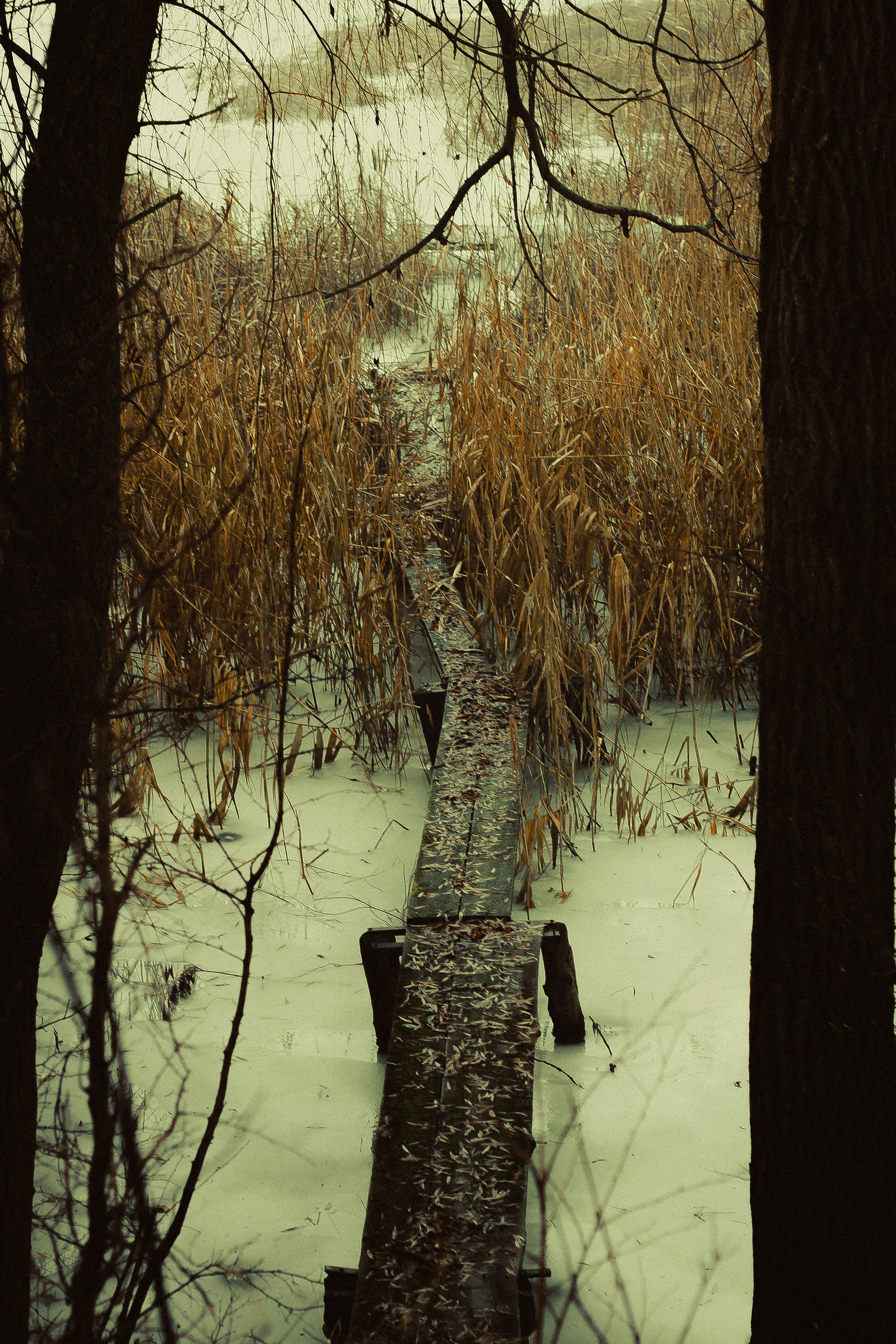 Photo by mineral_of_demon