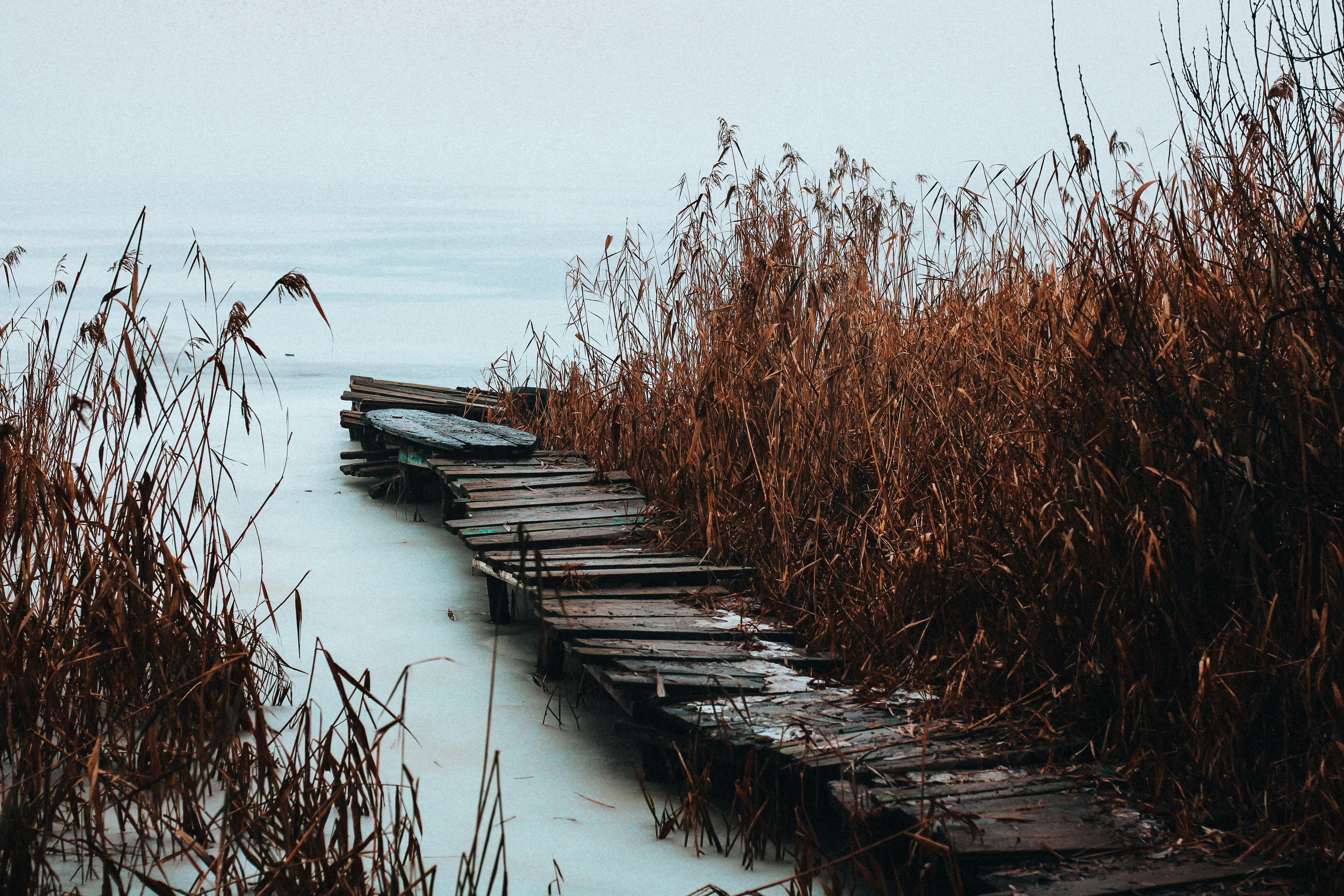 Photo by mineral_of_demon