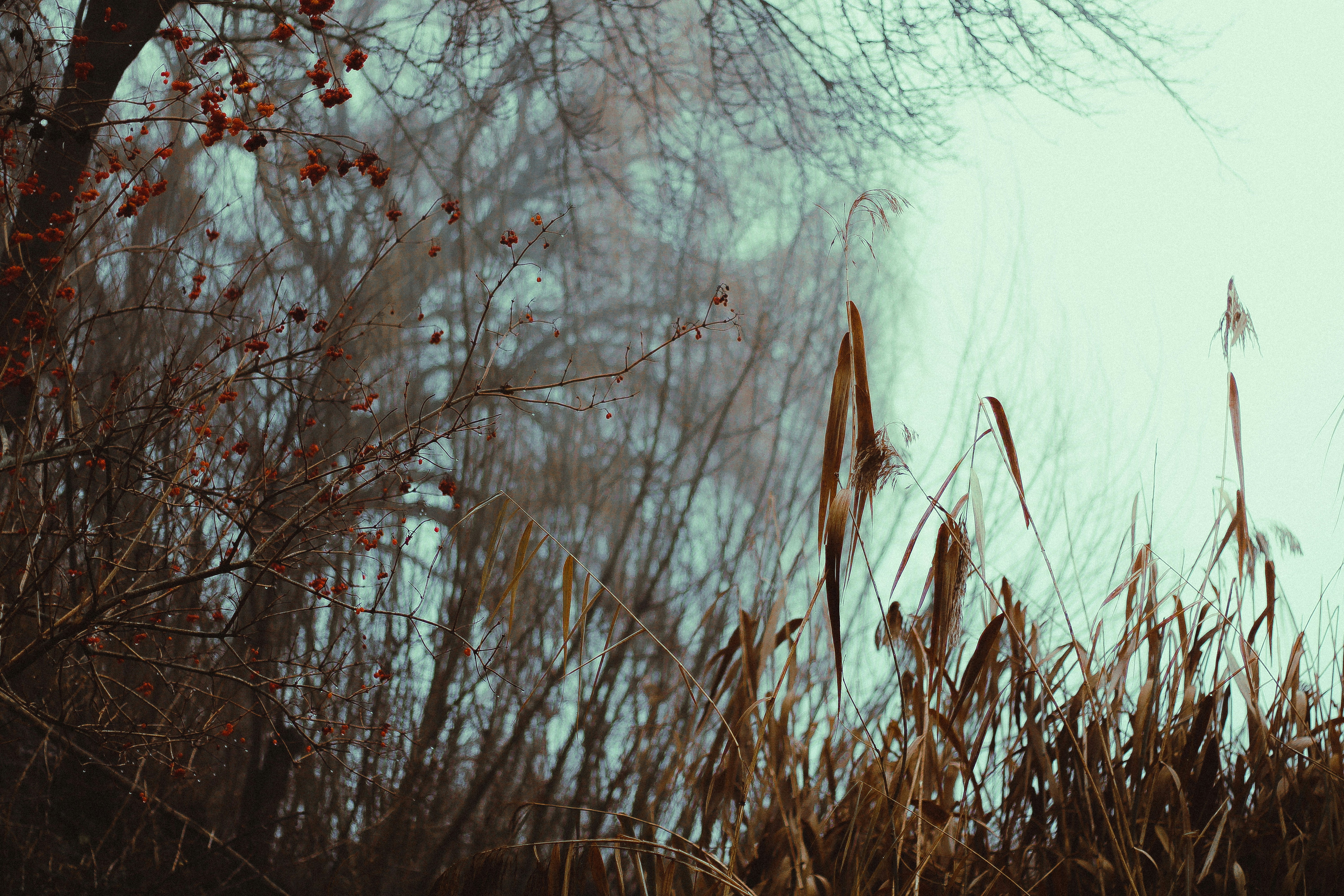 Photo by mineral_of_demon