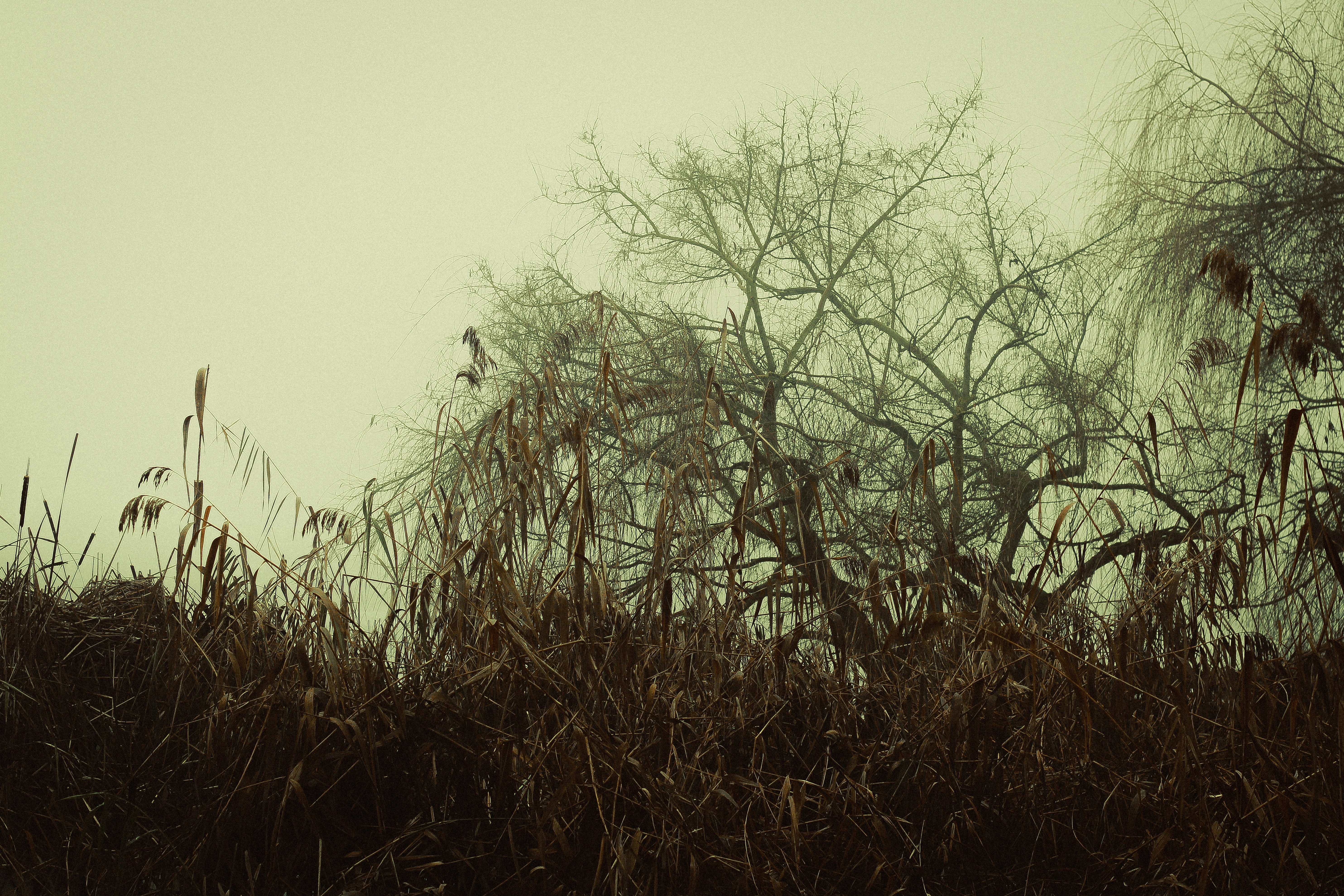 Photo by mineral_of_demon