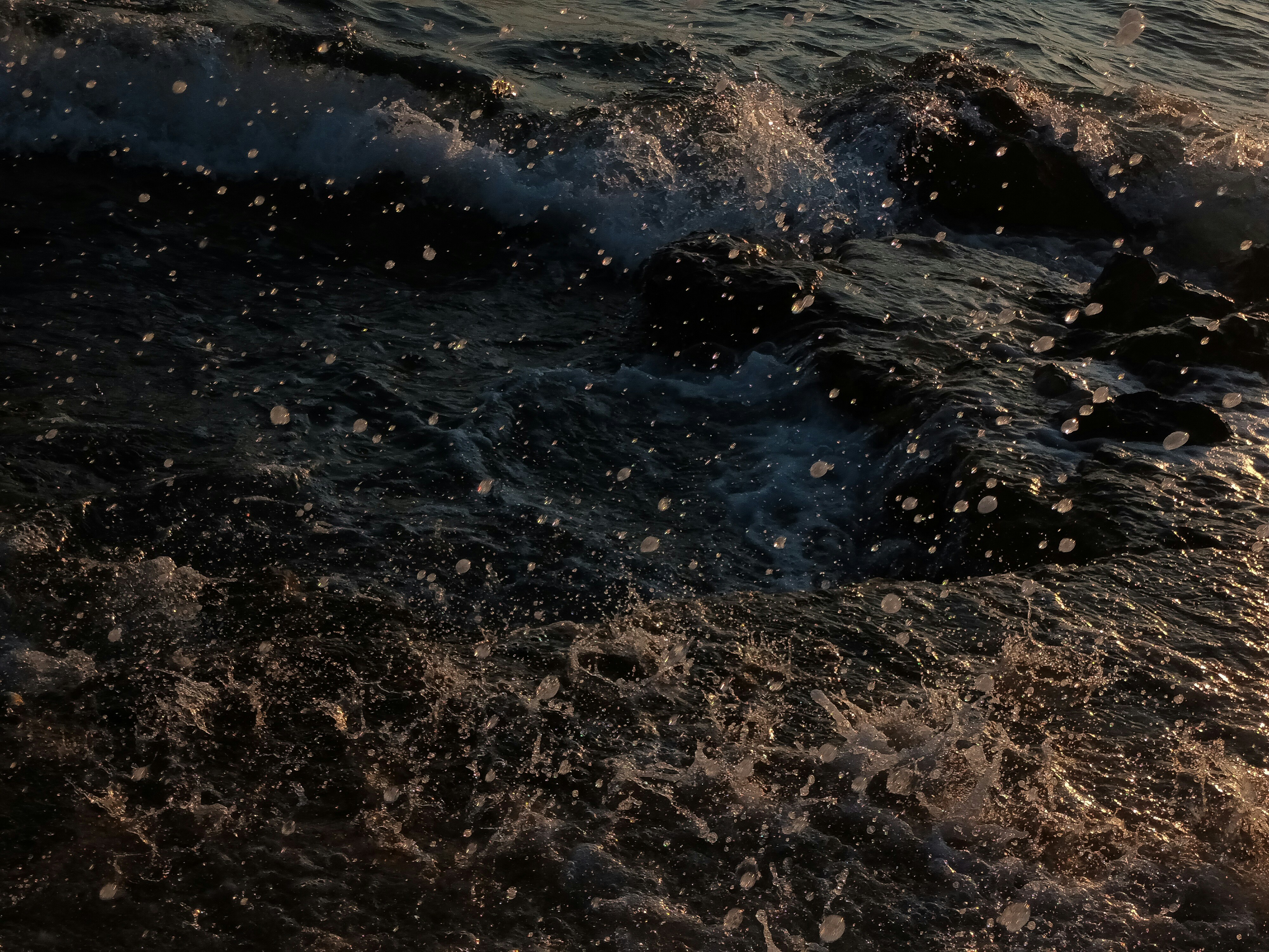 Photo by barbara_light