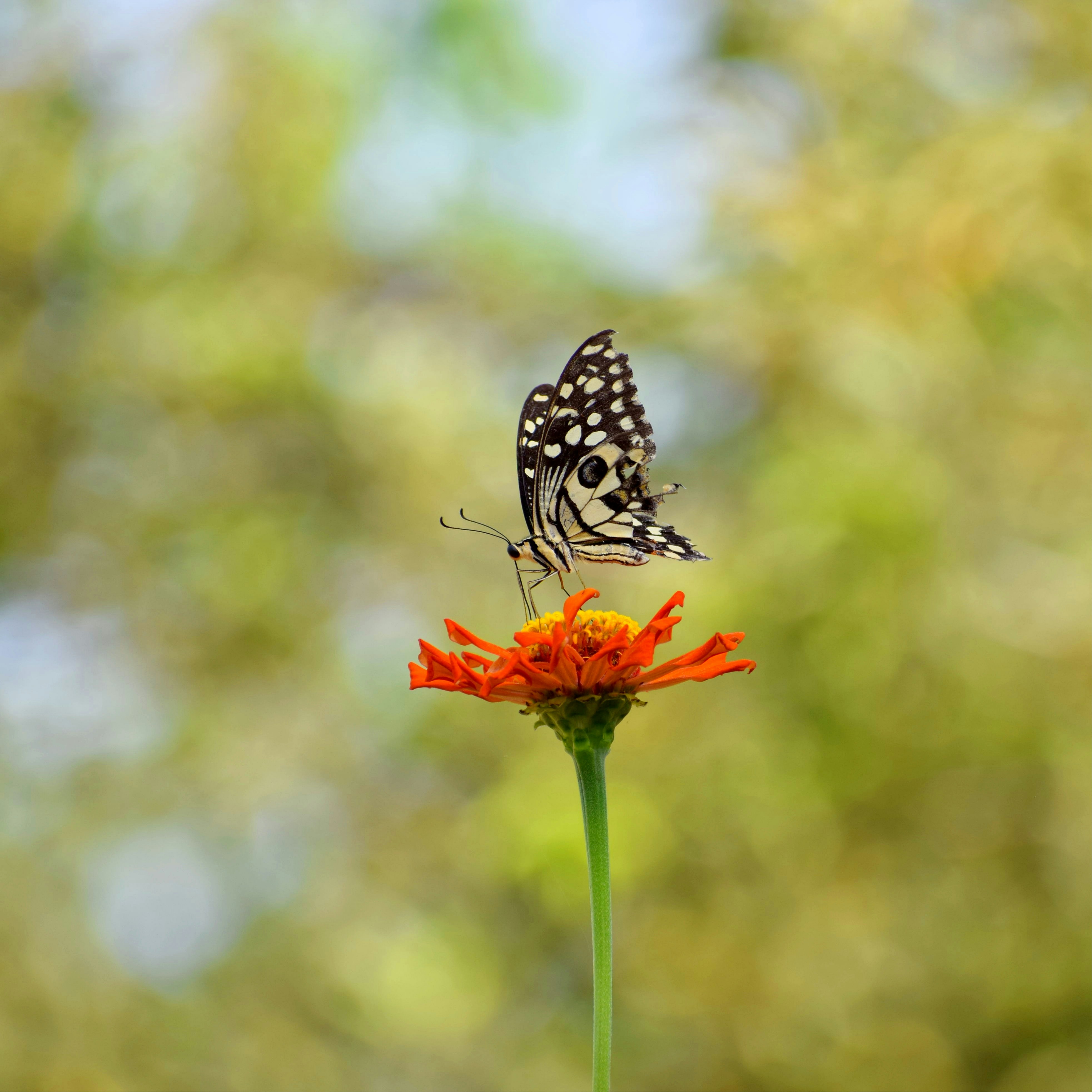 Photo by shirinsaleki