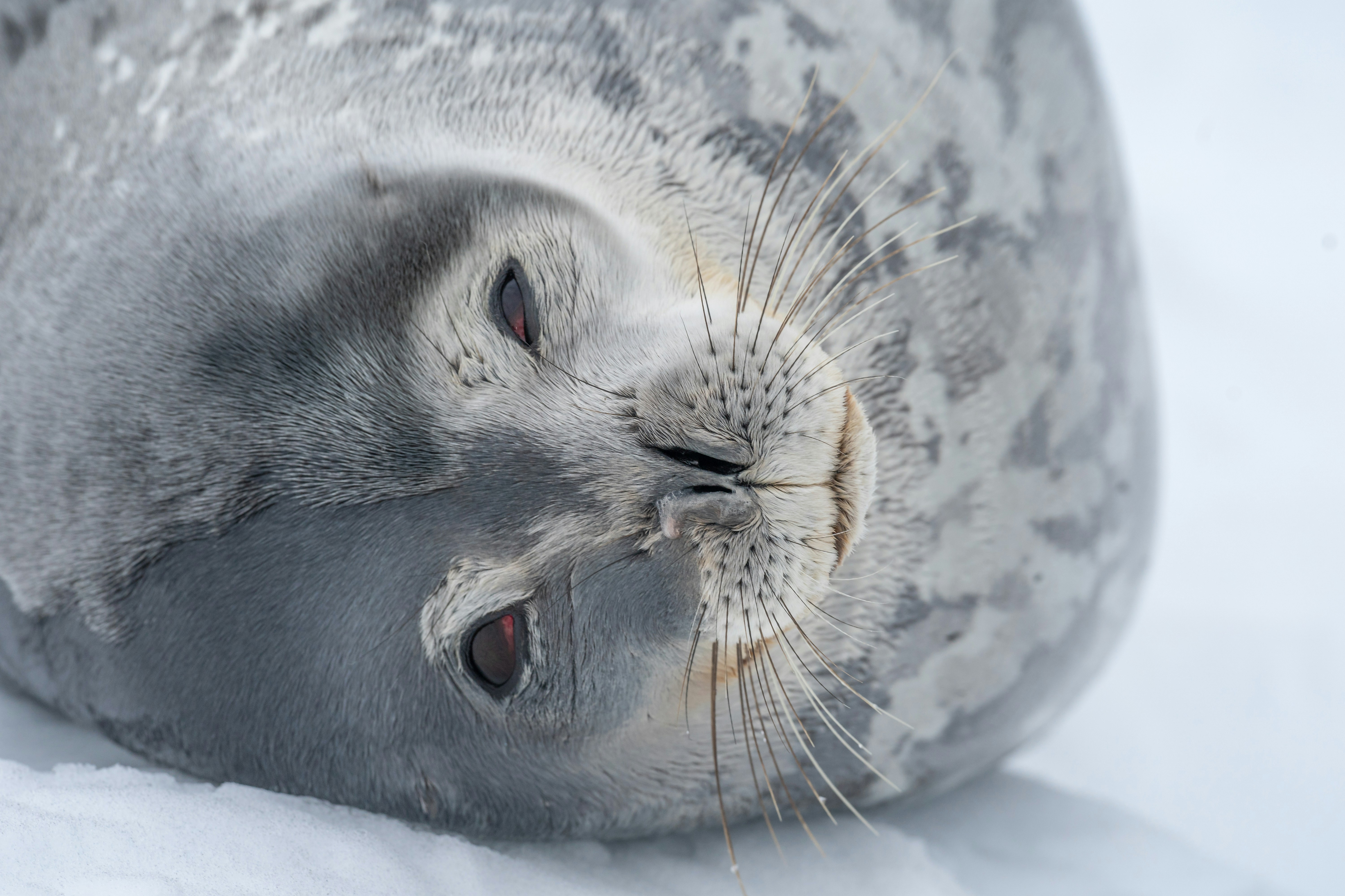 결제 거래취소 시 필요한 것은 무엇인가요?