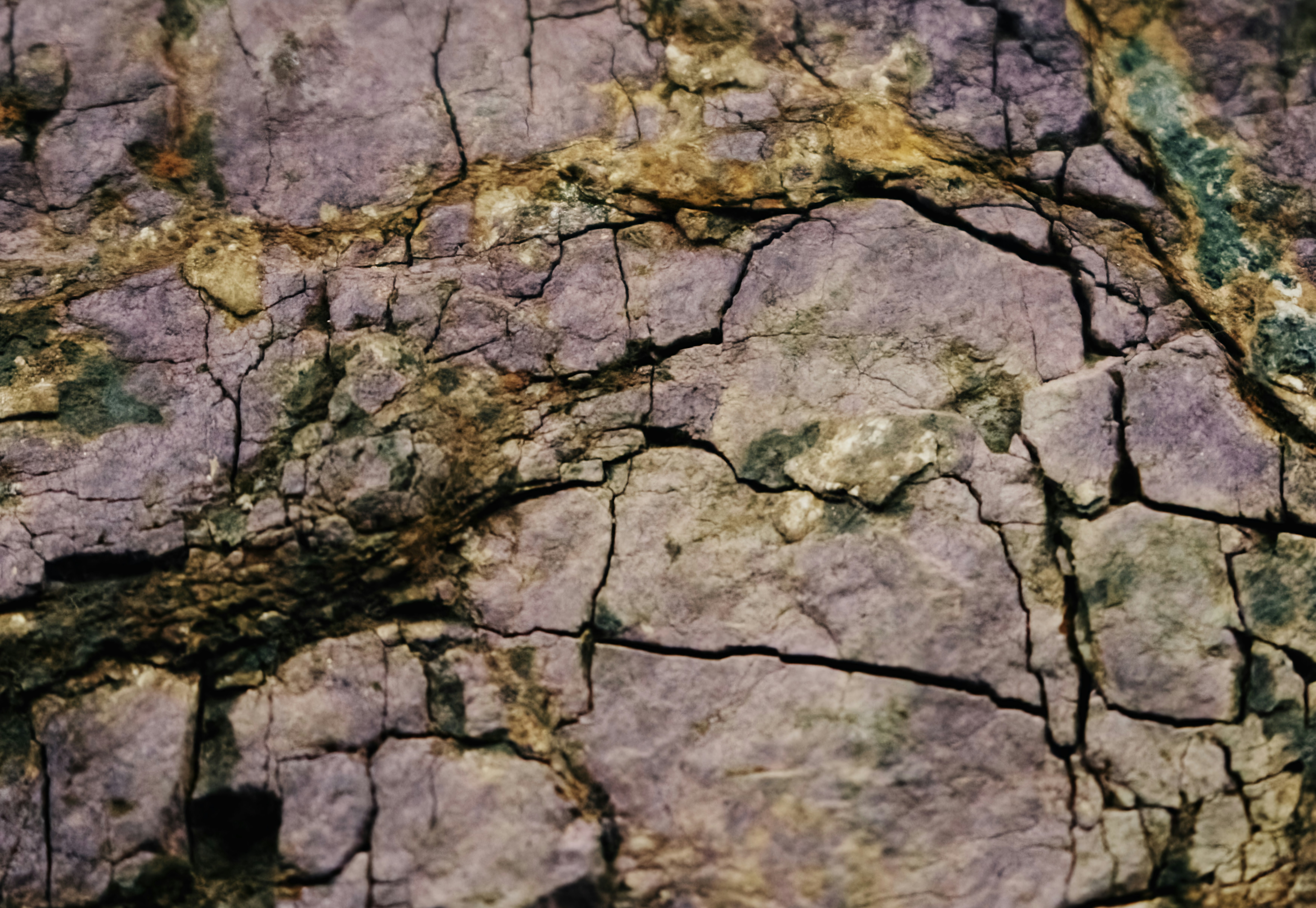 Photo by picsbyjameslee