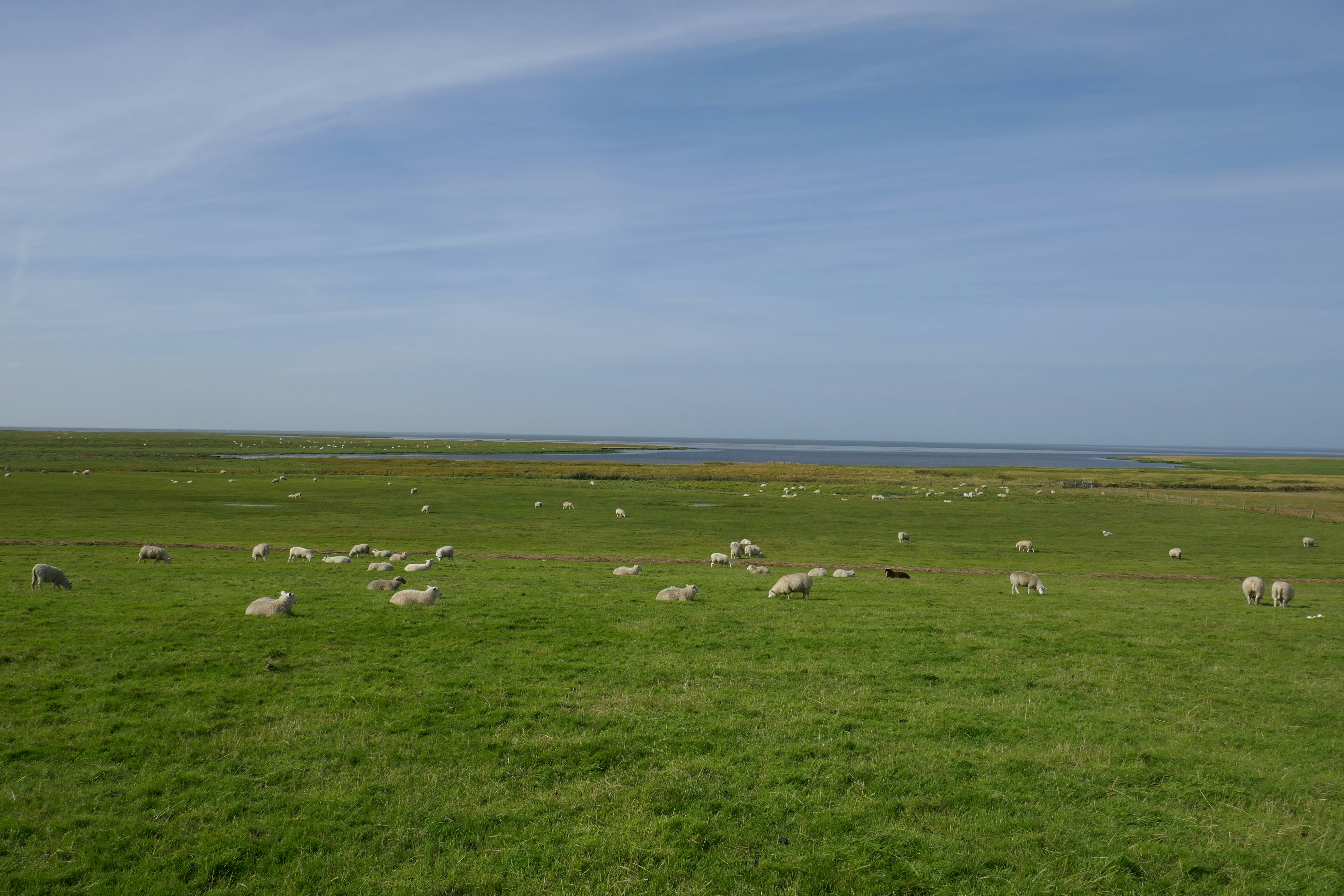 Photo by monikamanenti