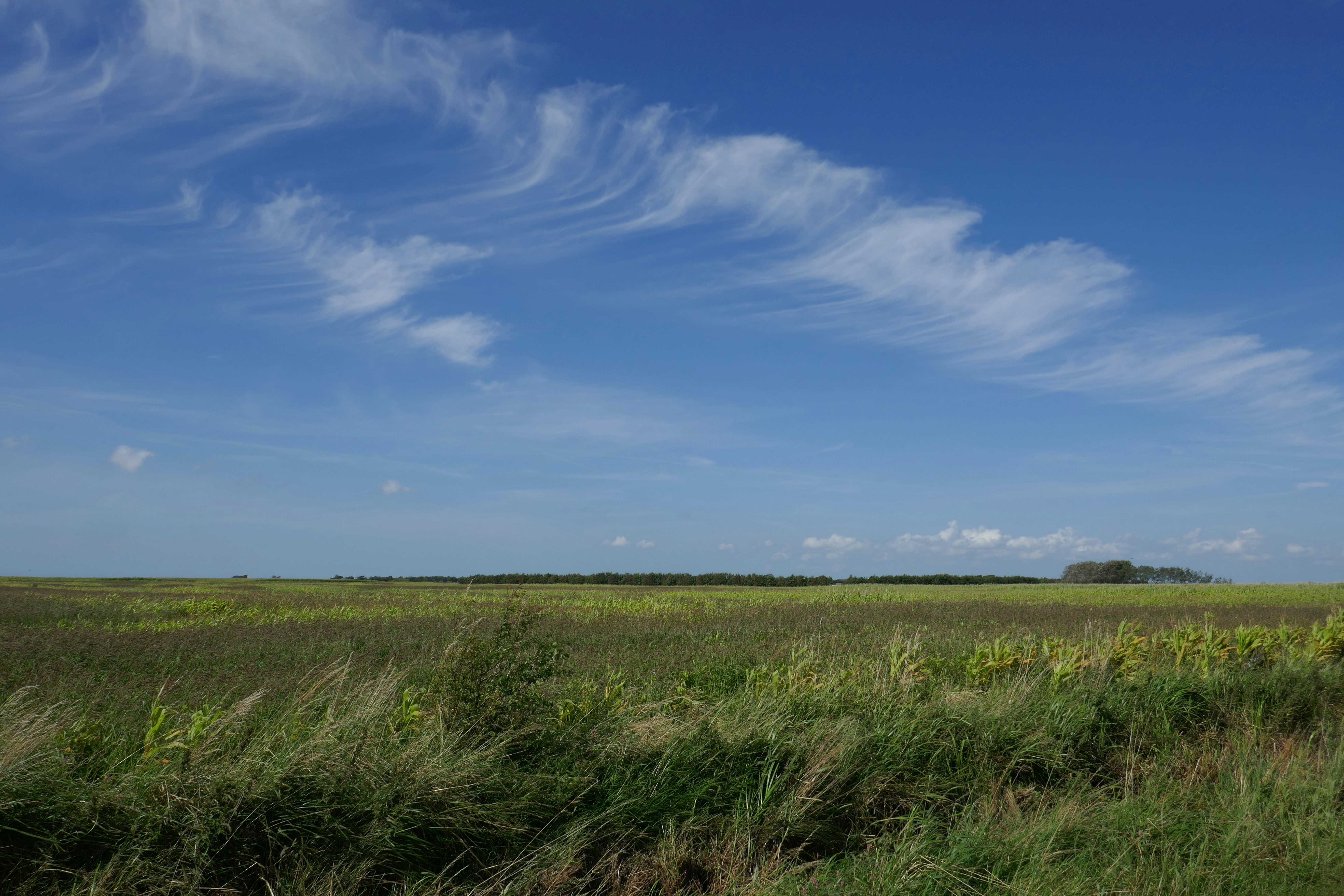 Photo by monikamanenti