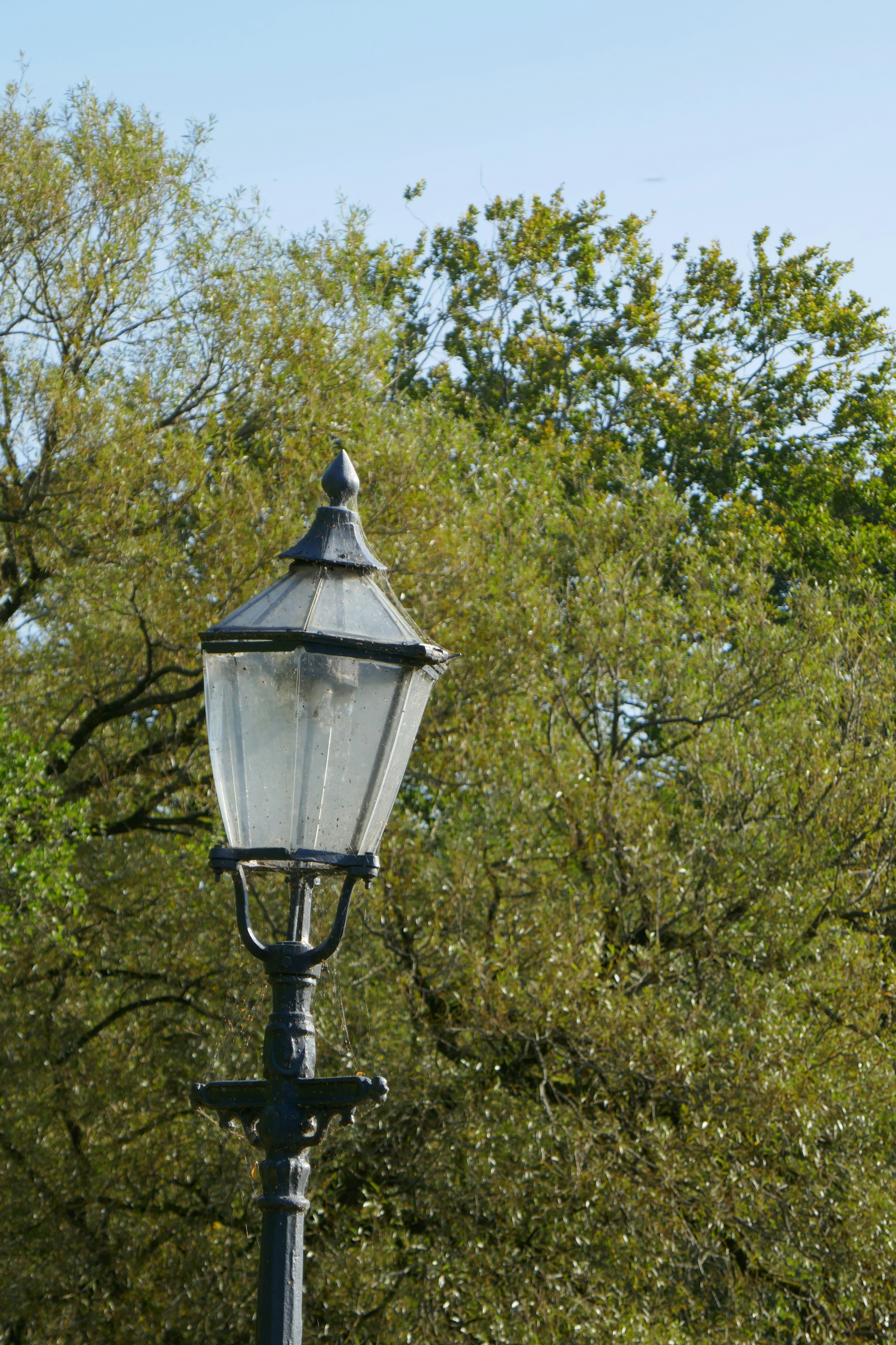 Photo by monikamanenti