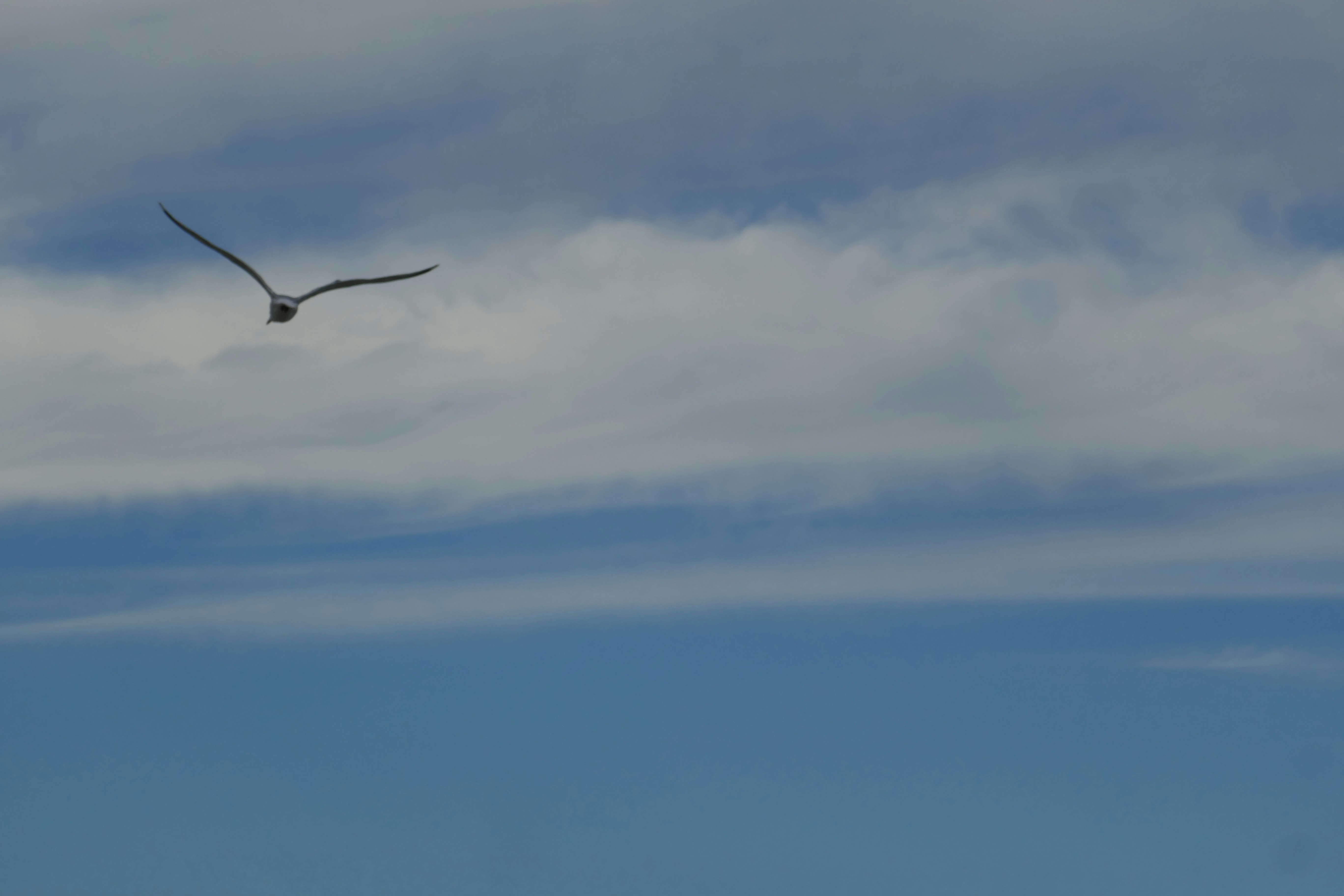 Photo by monikamanenti