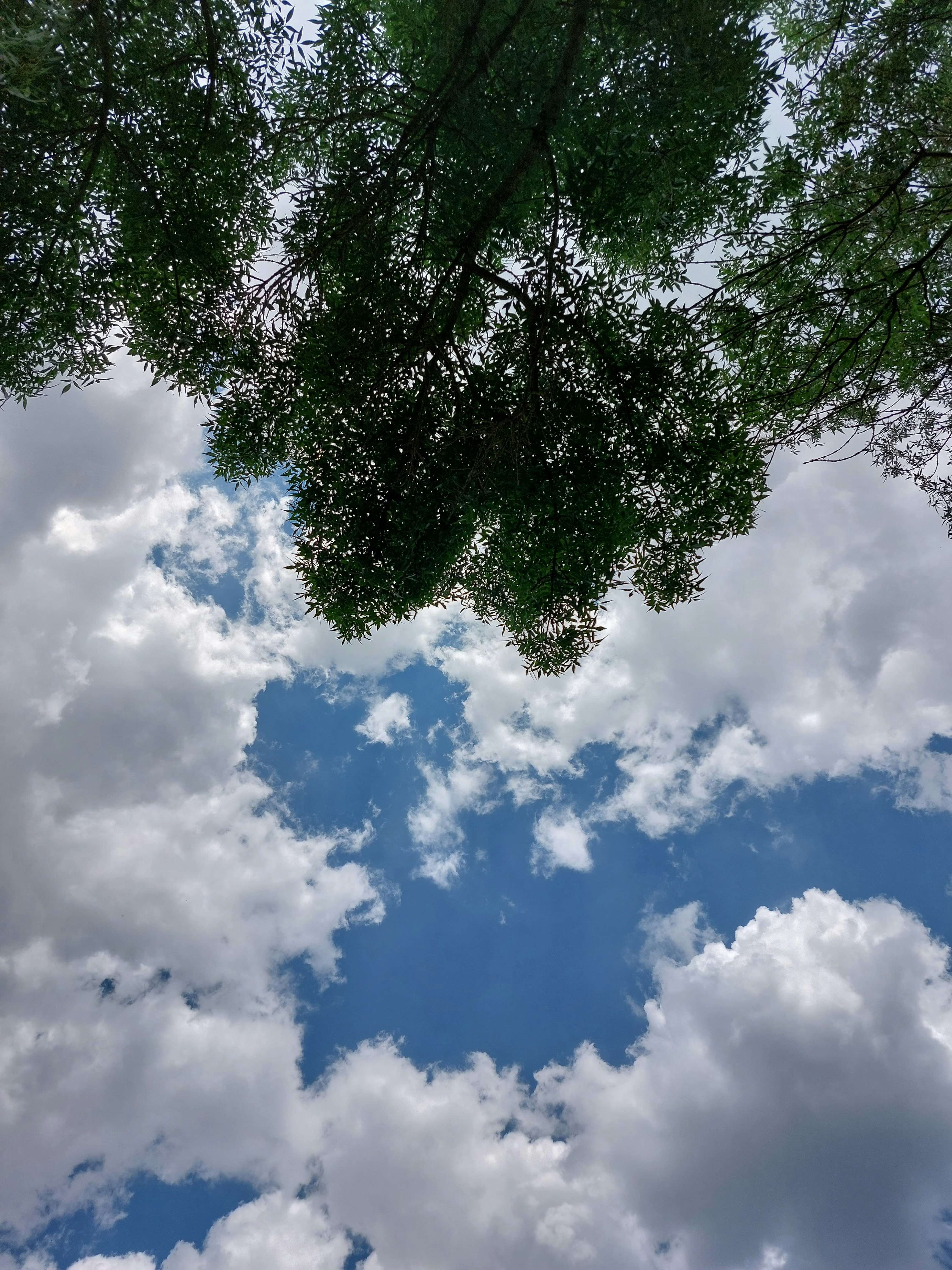 Photo by petit_clara