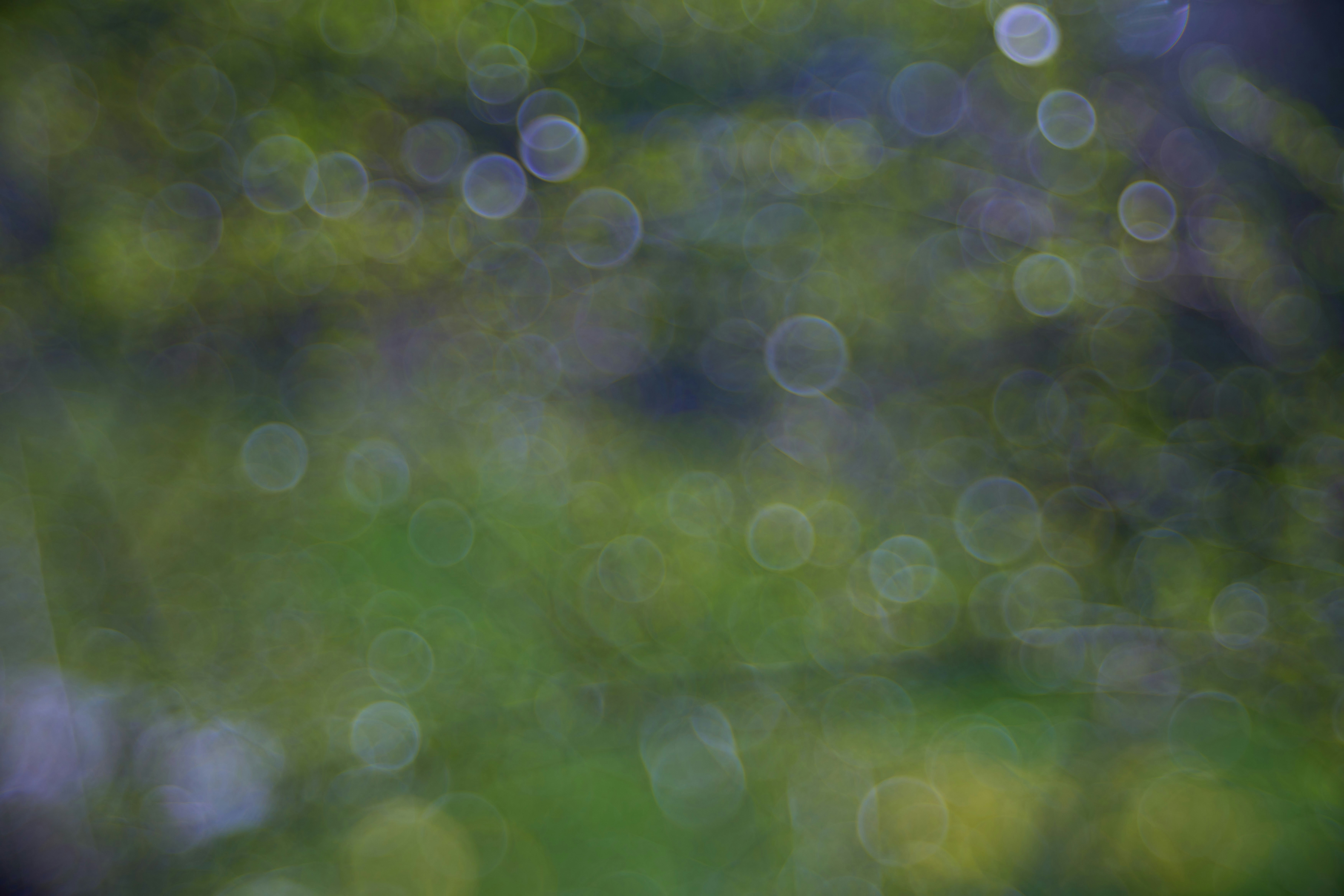 Photo by wolfgang_hasselmann