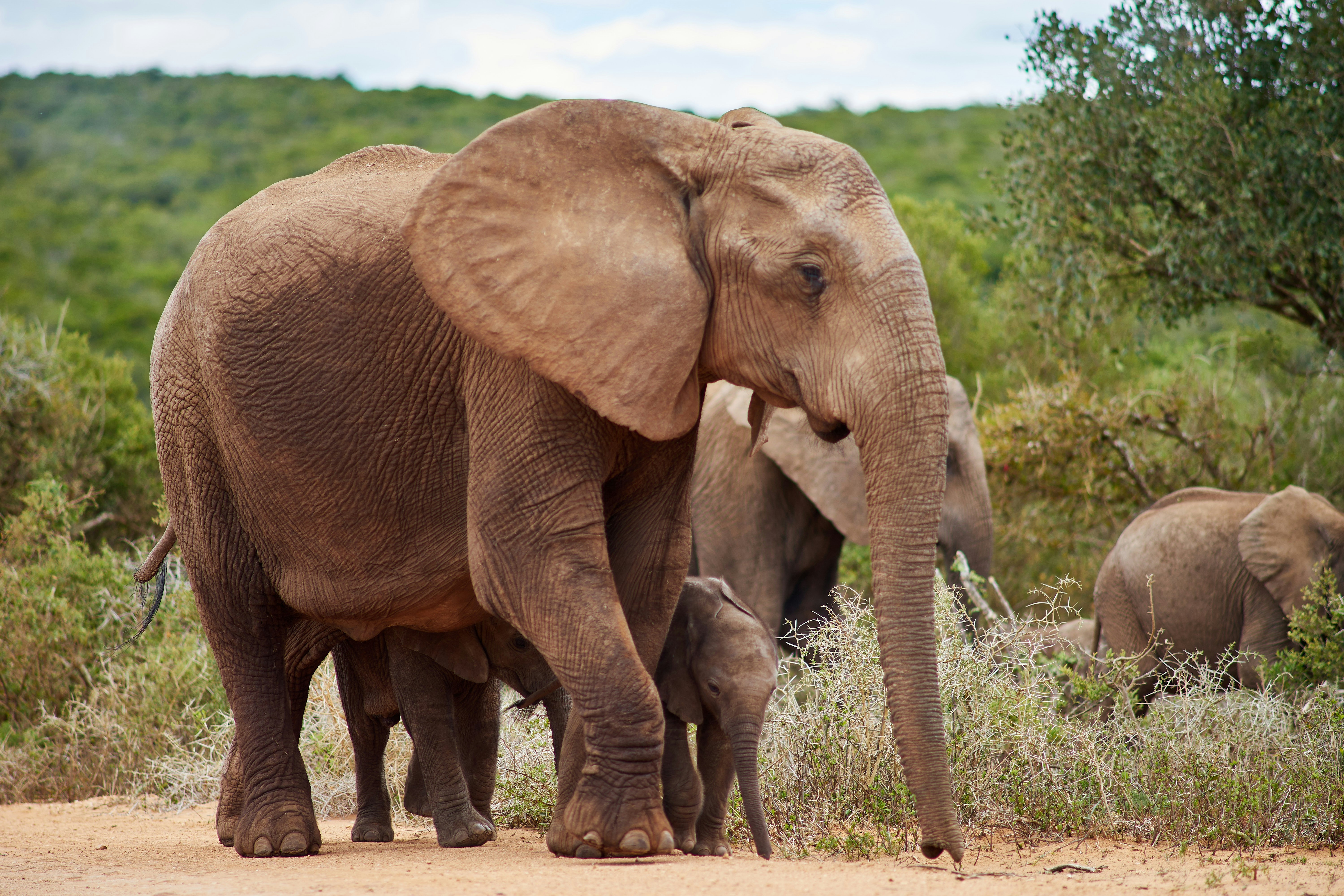 Photo by wolfgang_hasselmann