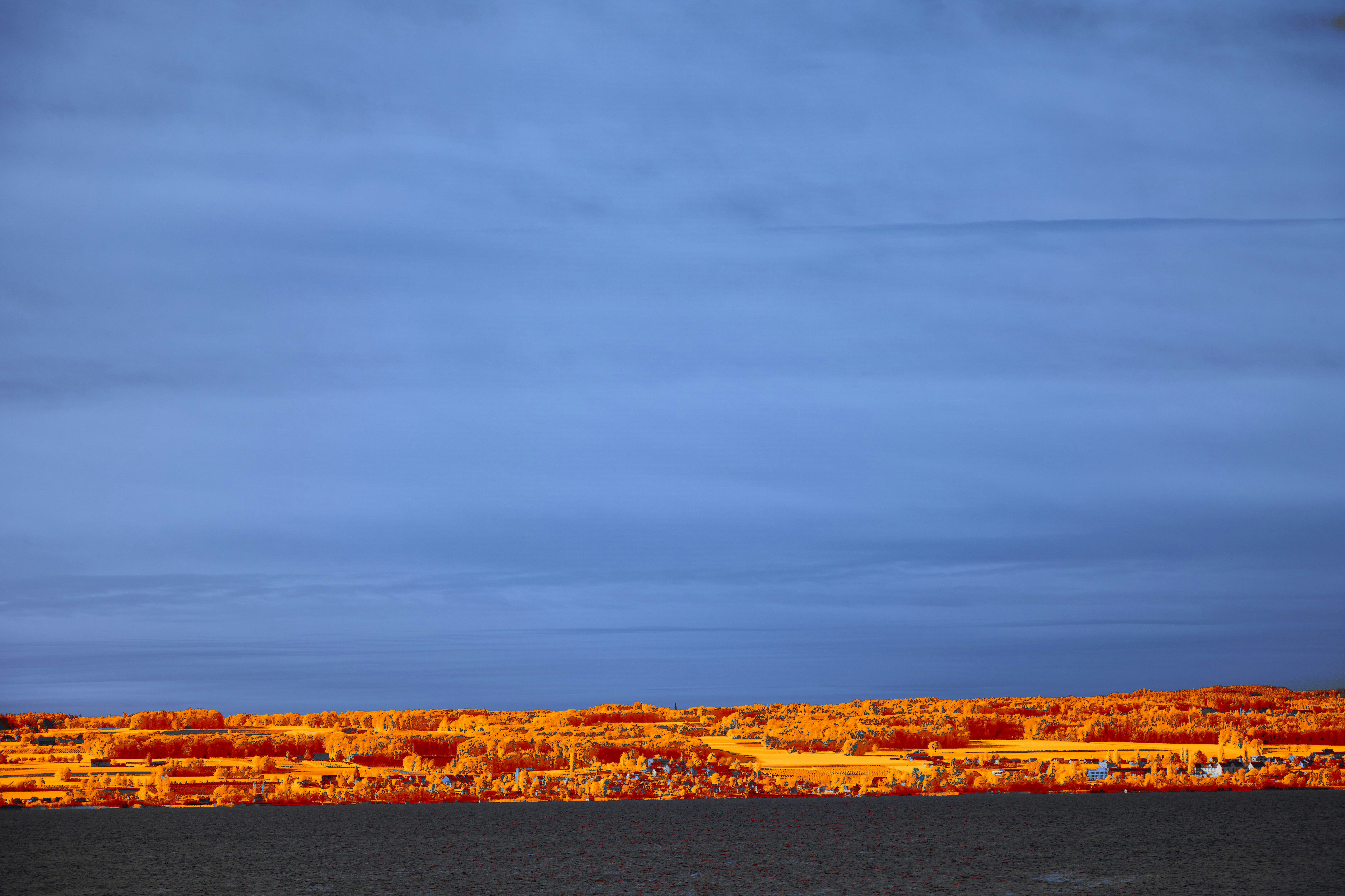 Photo by wolfgang_hasselmann