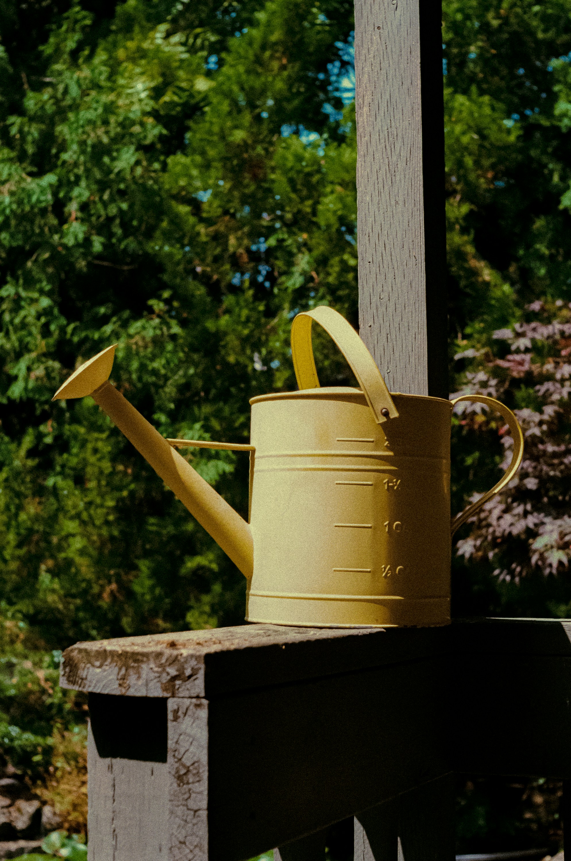 Photo by linusbelanger