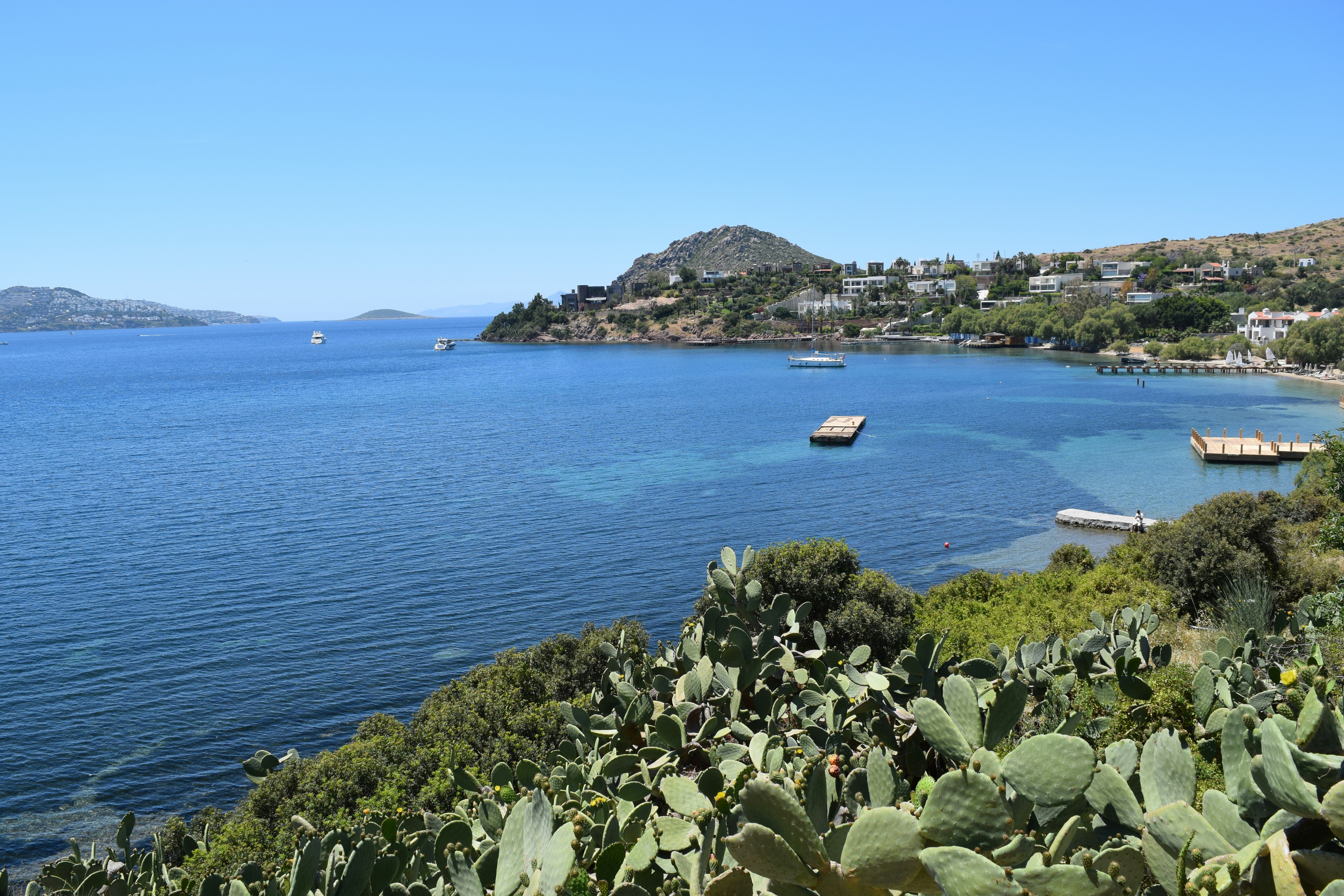 Photo by pinkpalmstudio