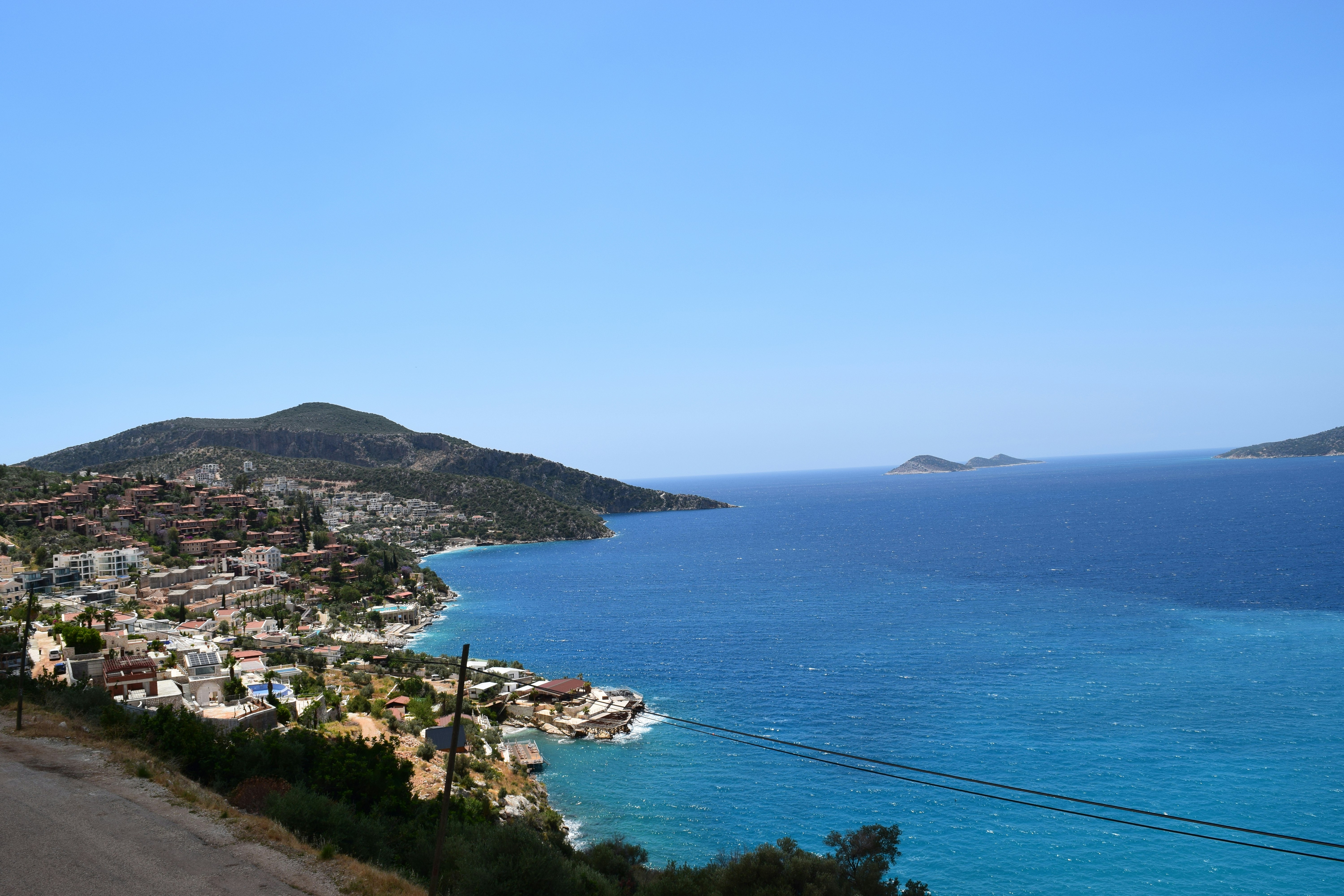 Photo by pinkpalmstudio